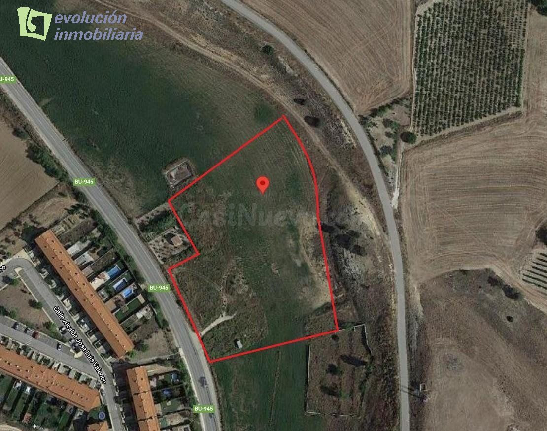 TERRENO URBANIZABLE FUENTELCESPED - ARANDA-