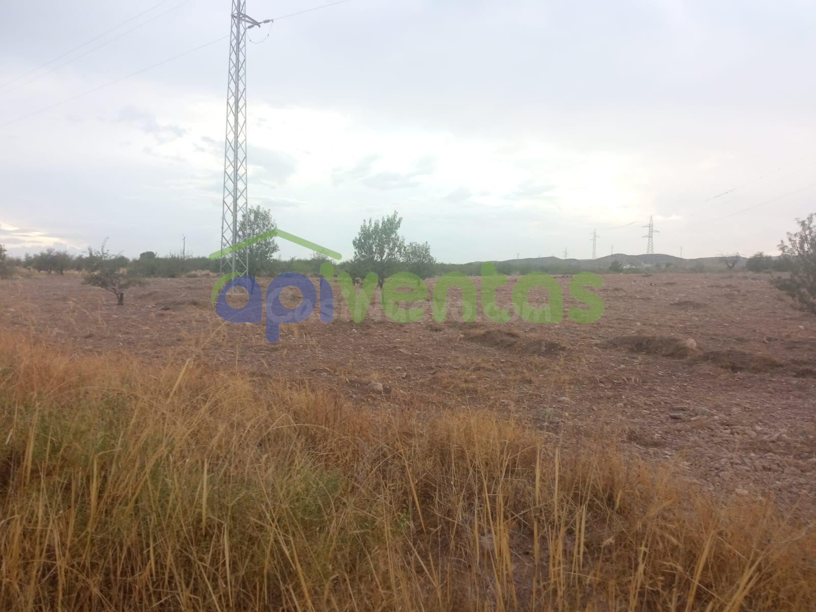 Terreno a 200 metros de  la area de servicios EL LIMITE - foto 3