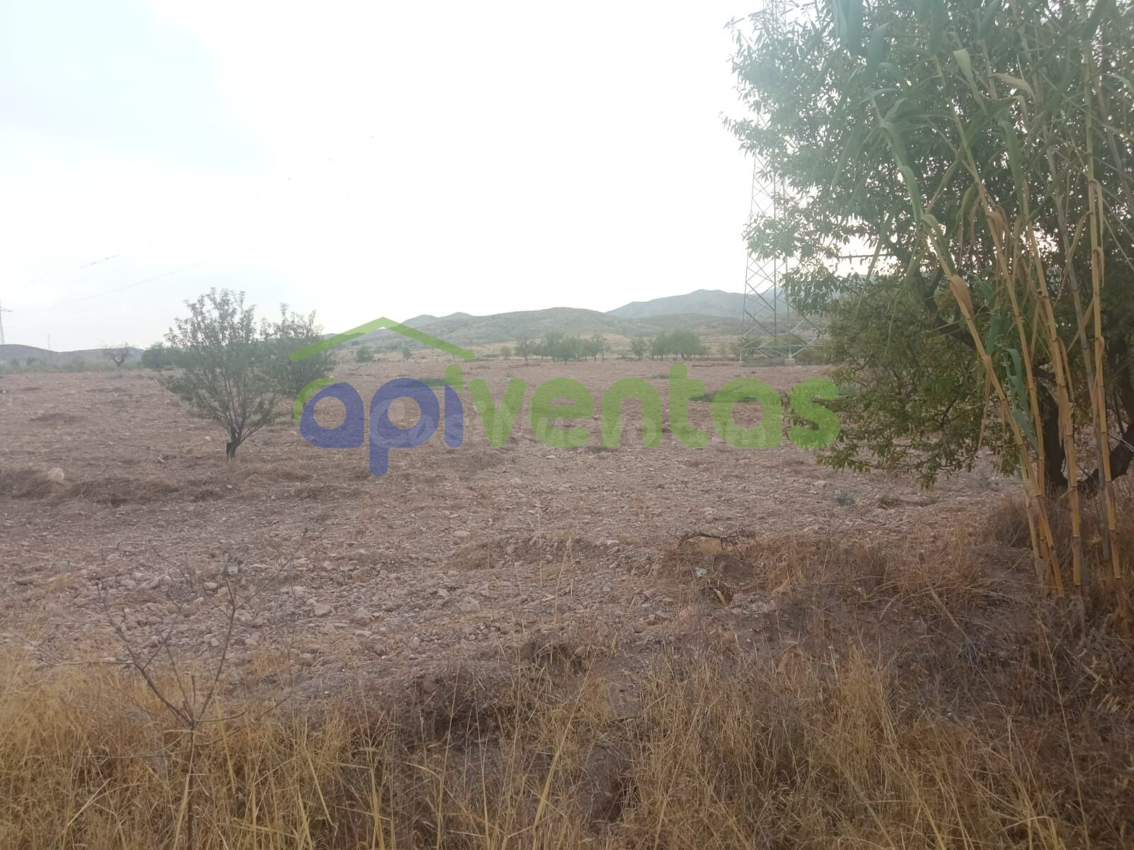 Terreno a 200 metros de  la area de servicios EL LIMITE - foto 4