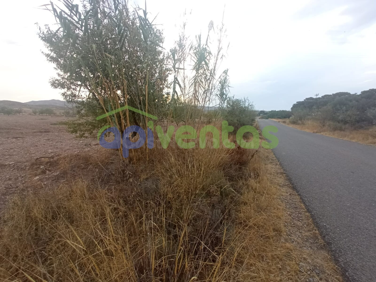 Terreno a 200 metros de  la area de servicios EL LIMITE - foto 5