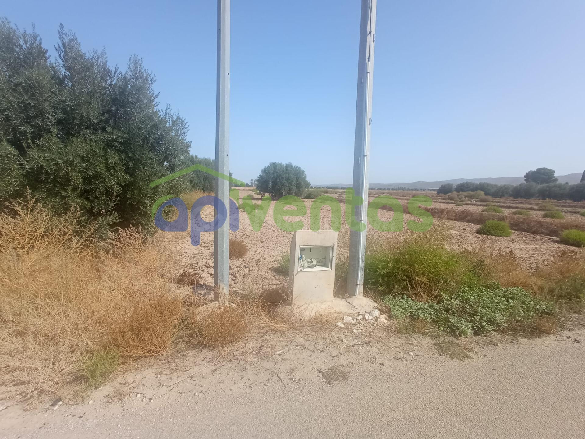Parcela para edificar de regadio - foto 2