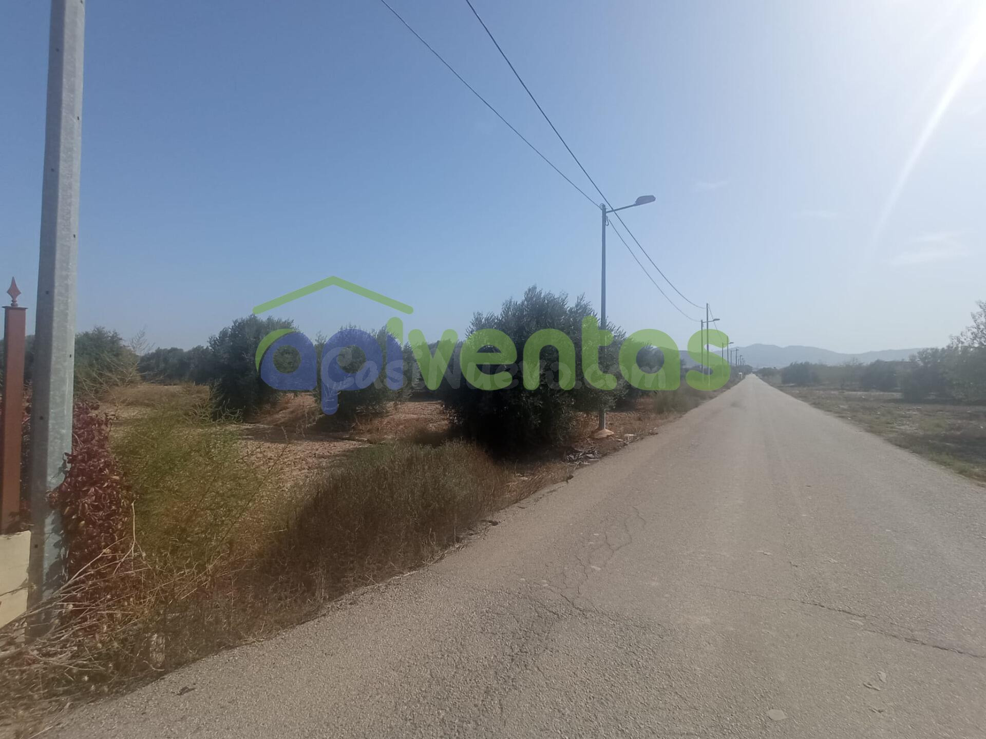 Parcela para edificar de regadio - foto 4