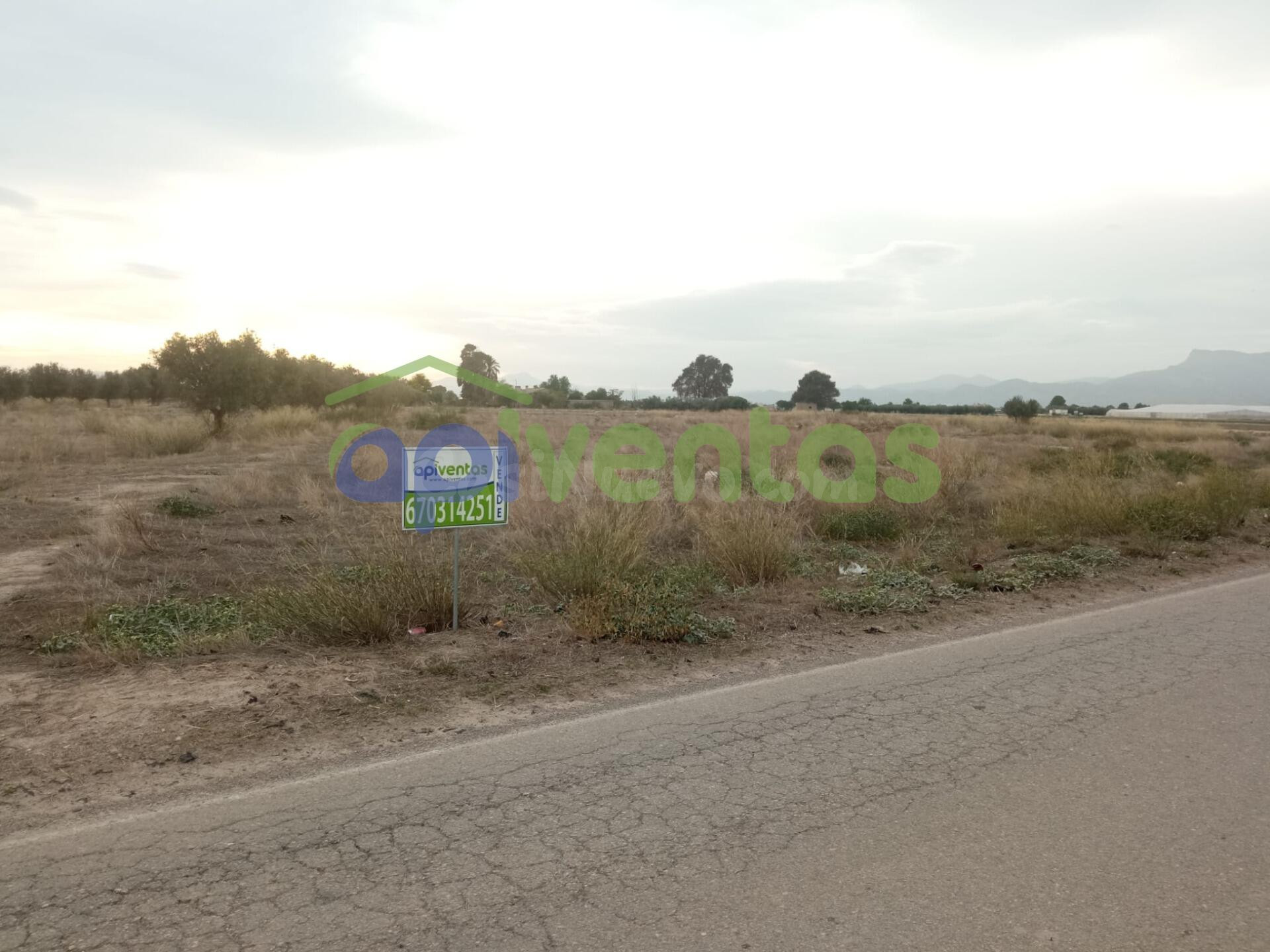 Parcela edificable en Marchena