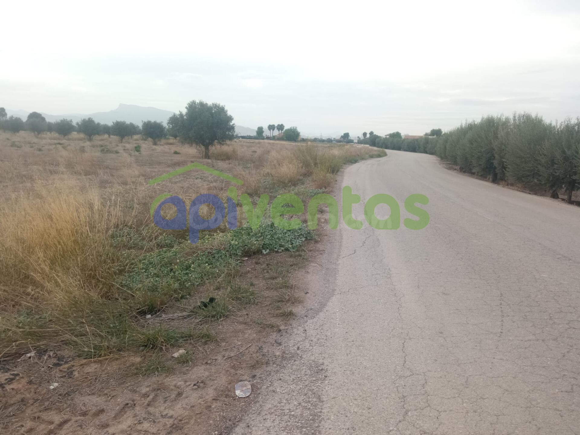 Parcela edificable en Marchena - foto 2