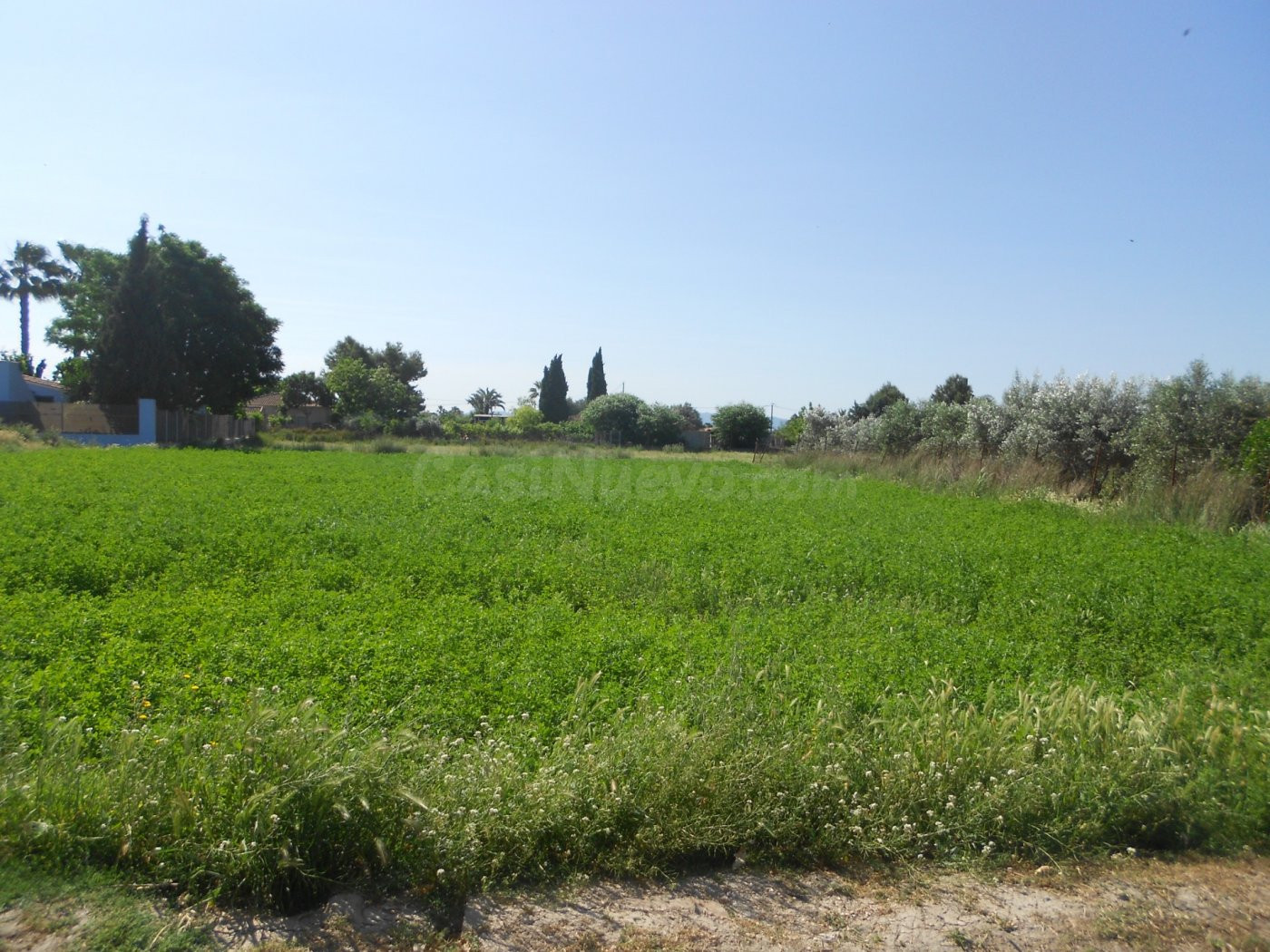 Parcela en Molina de Segura