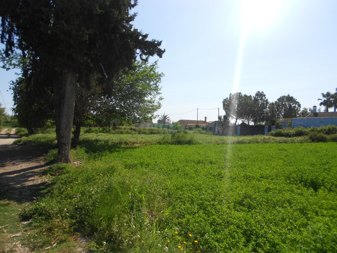 Parcela en Molina de Segura - foto 2