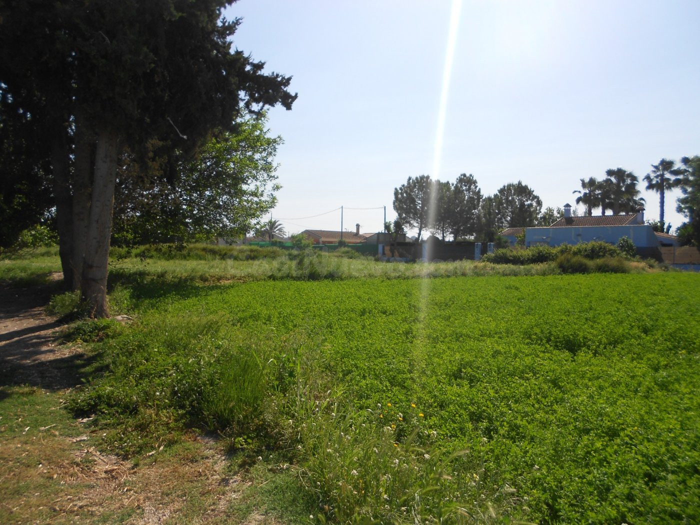 Parcela en Molina de Segura - foto 3