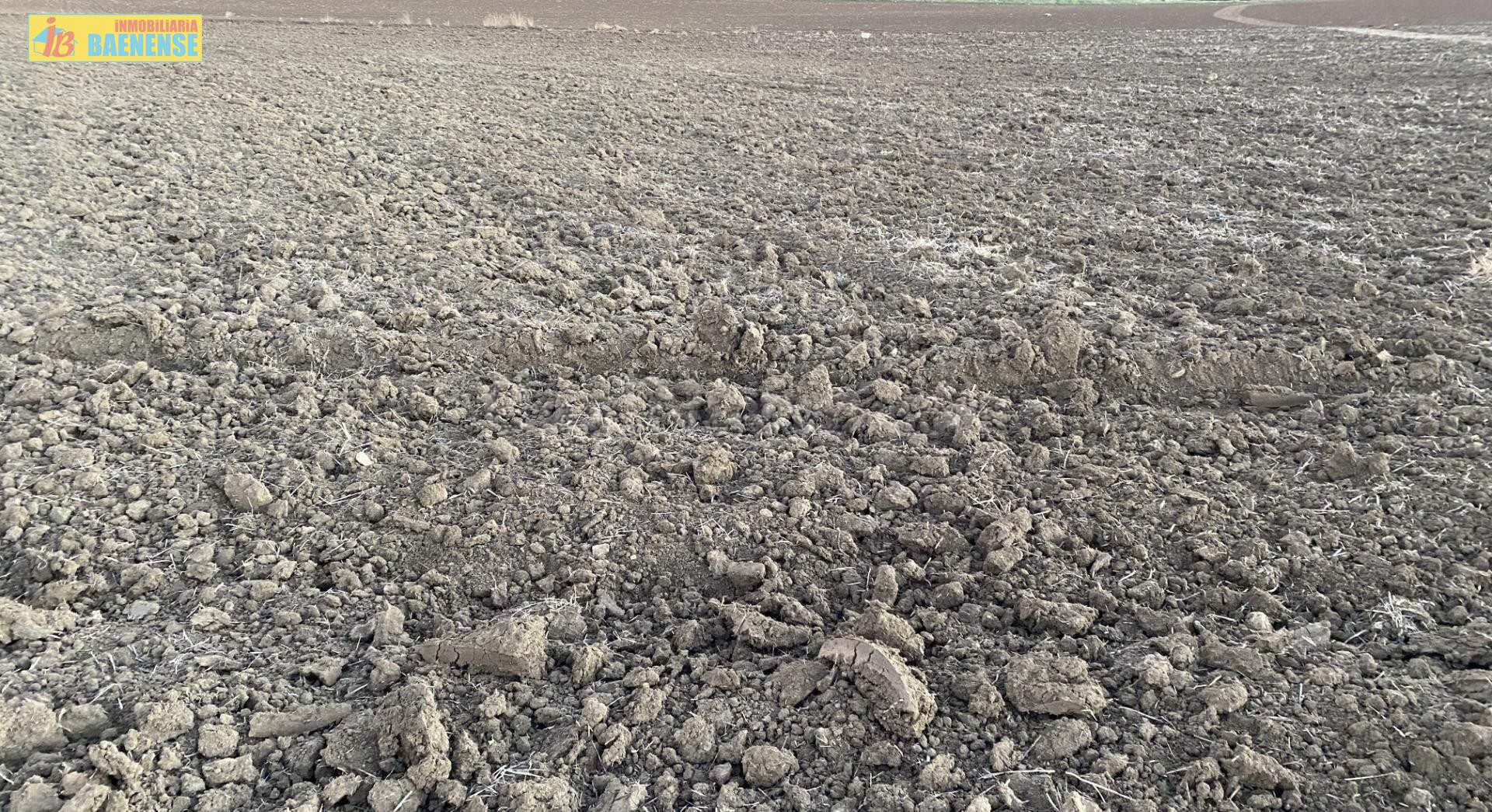 Tierra calma en buena ubicación - foto 3