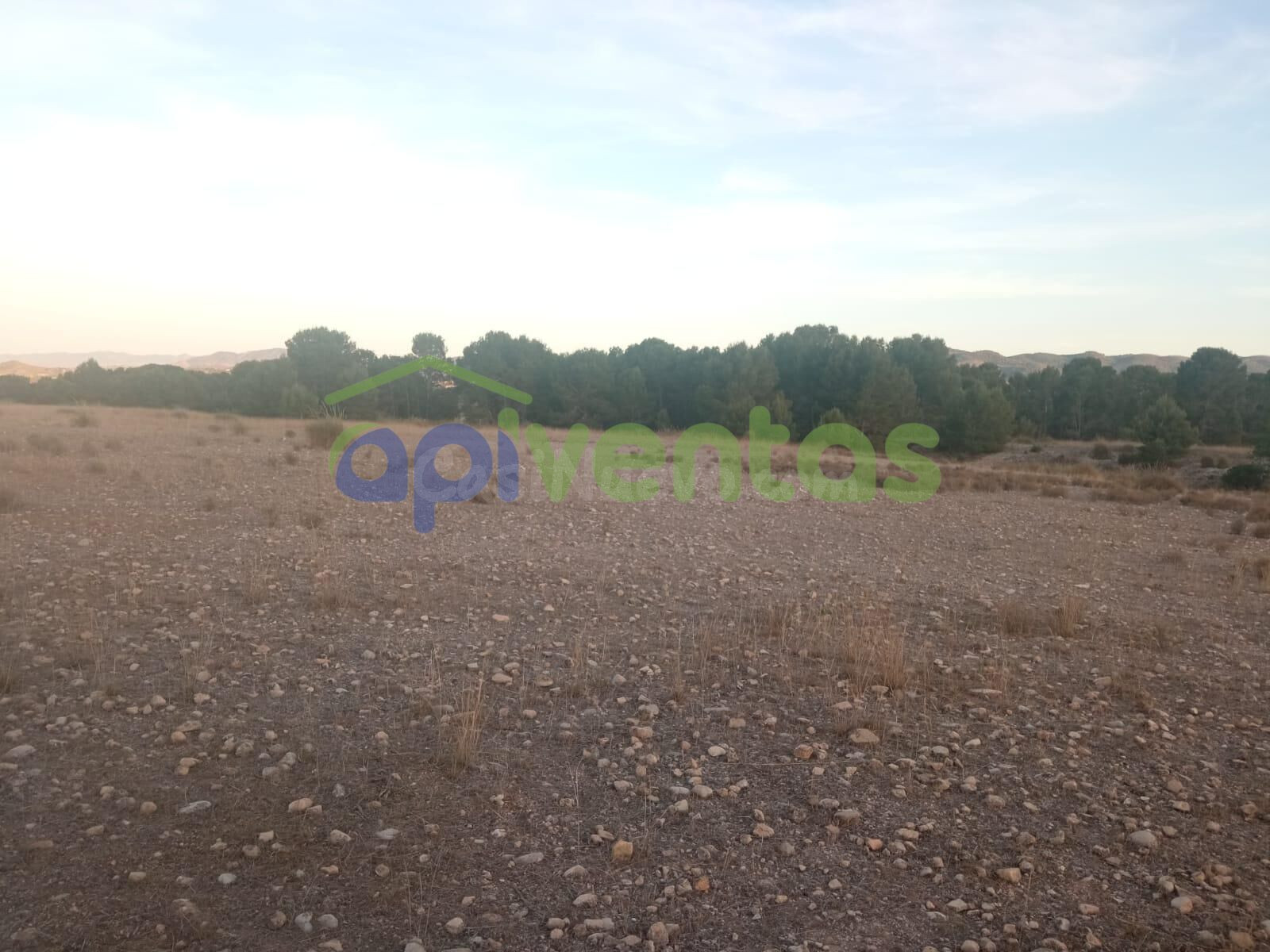 Terreno en Rio LUCHENA - foto 2