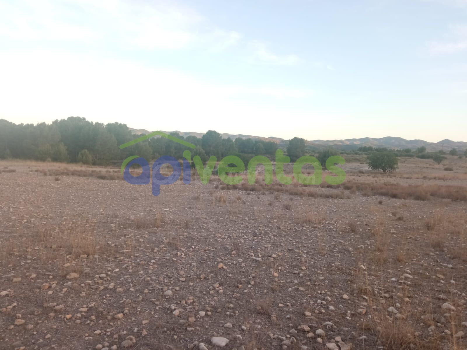 Terreno en Rio LUCHENA - foto 4