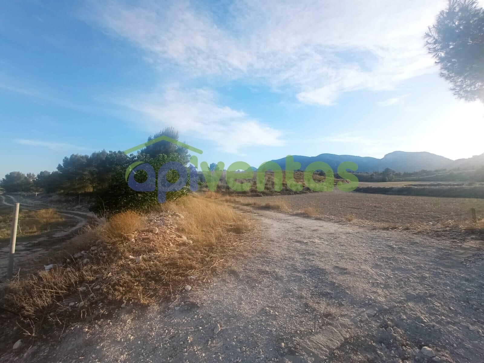 Terreno en Rio LUCHENA - foto 5