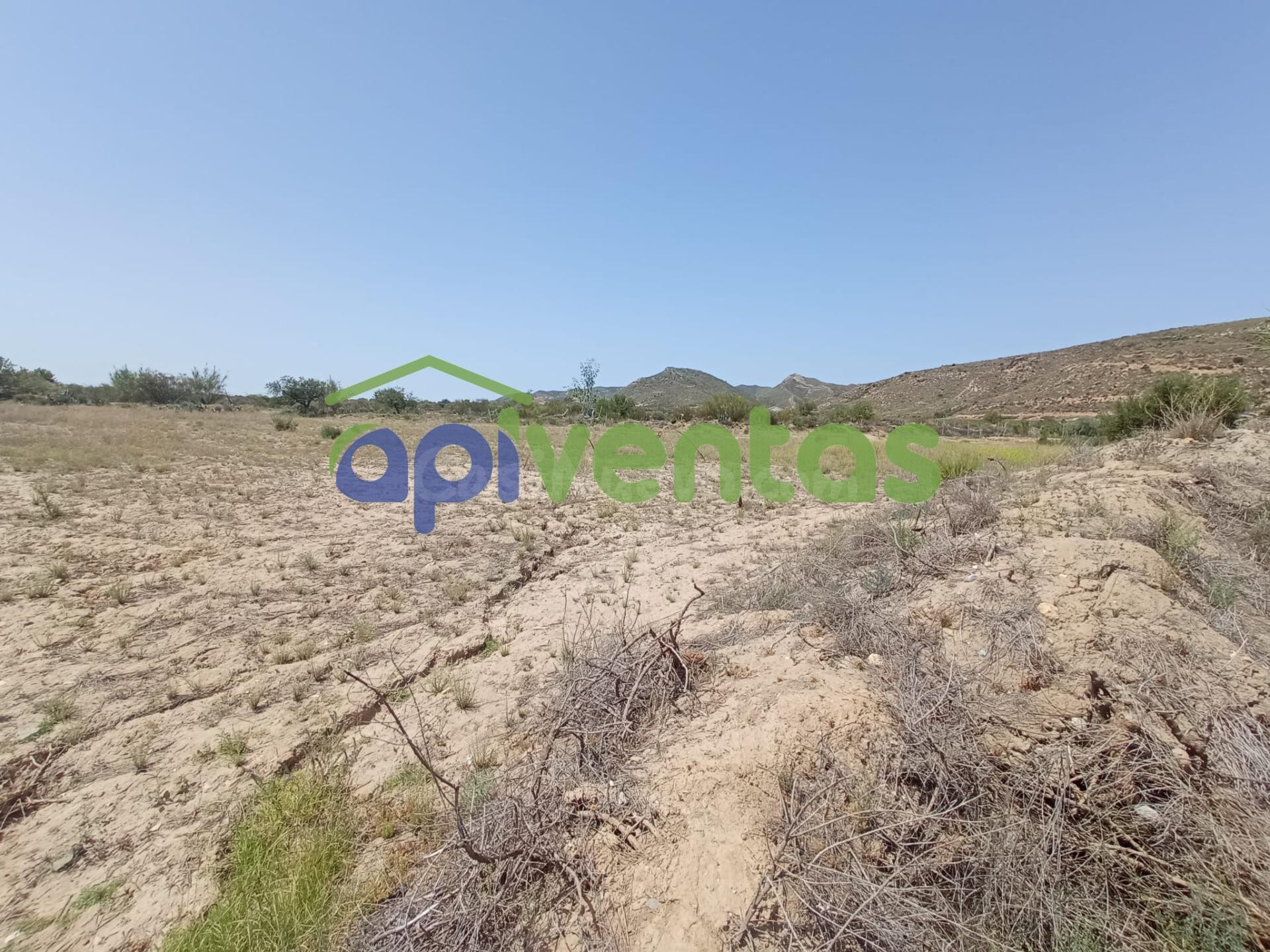 Terreno de regadío, cultivo. Puerto Lumbreras.