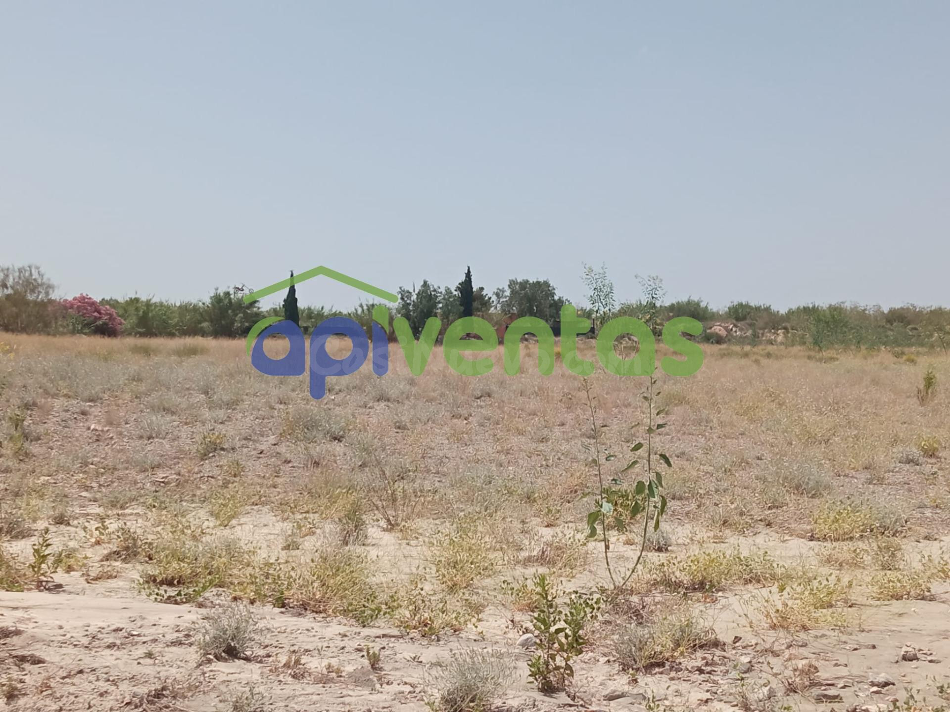 Terreno de regadío, cultivo. Puerto Lumbreras. - foto 3
