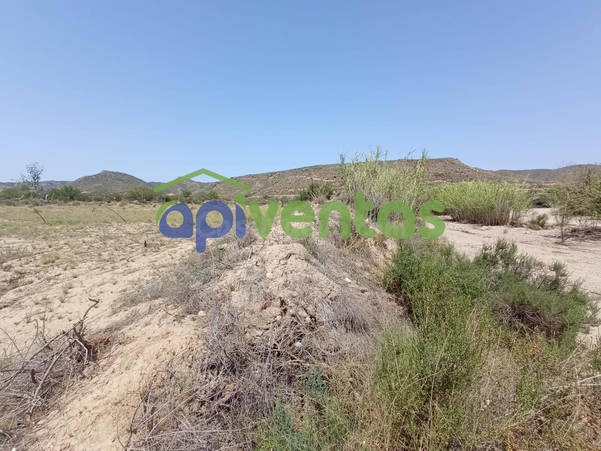 Terreno de regadío, cultivo. Puerto Lumbreras. - foto 4