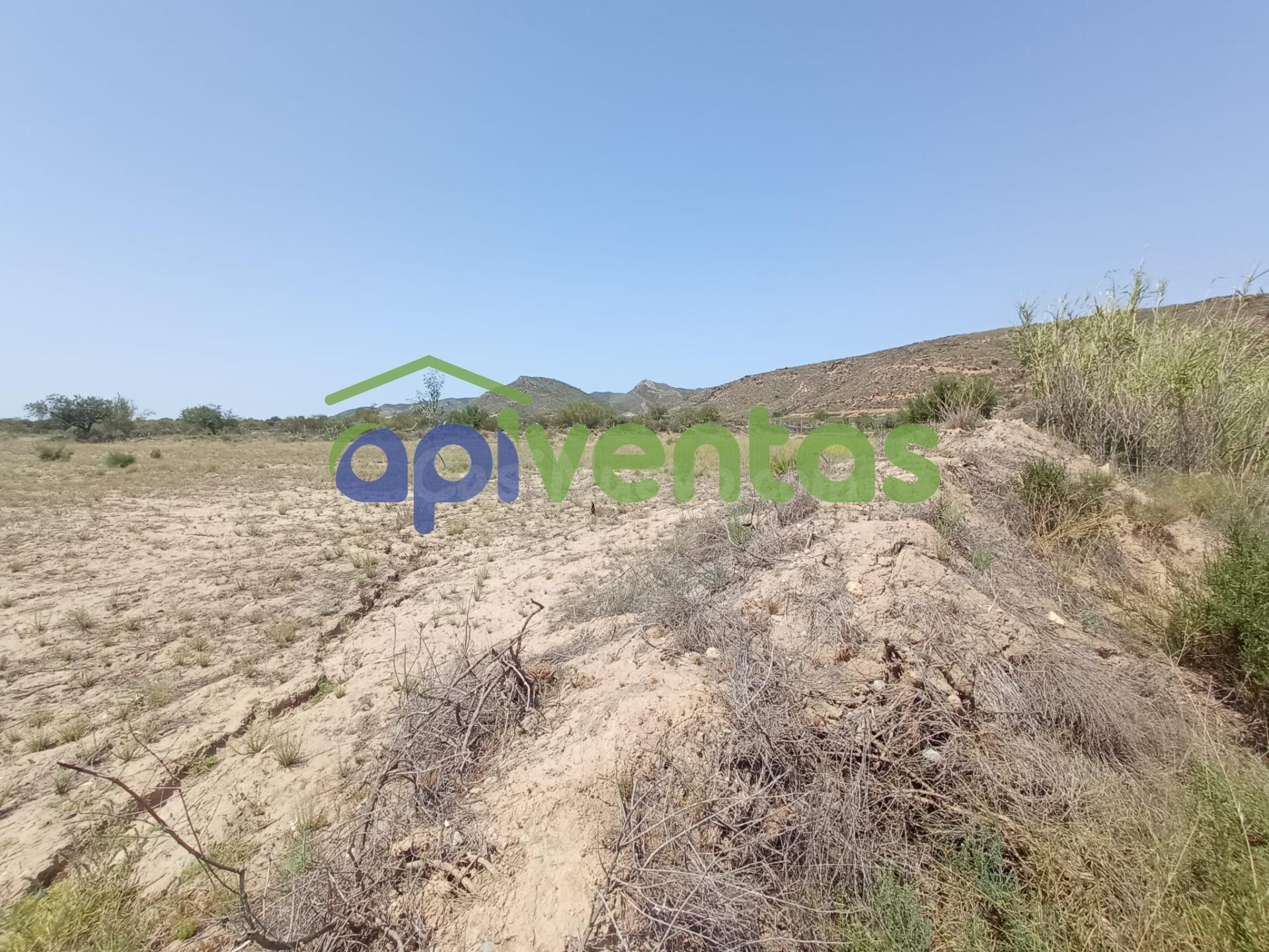 Terreno de regadío, cultivo. Puerto Lumbreras. - foto 5