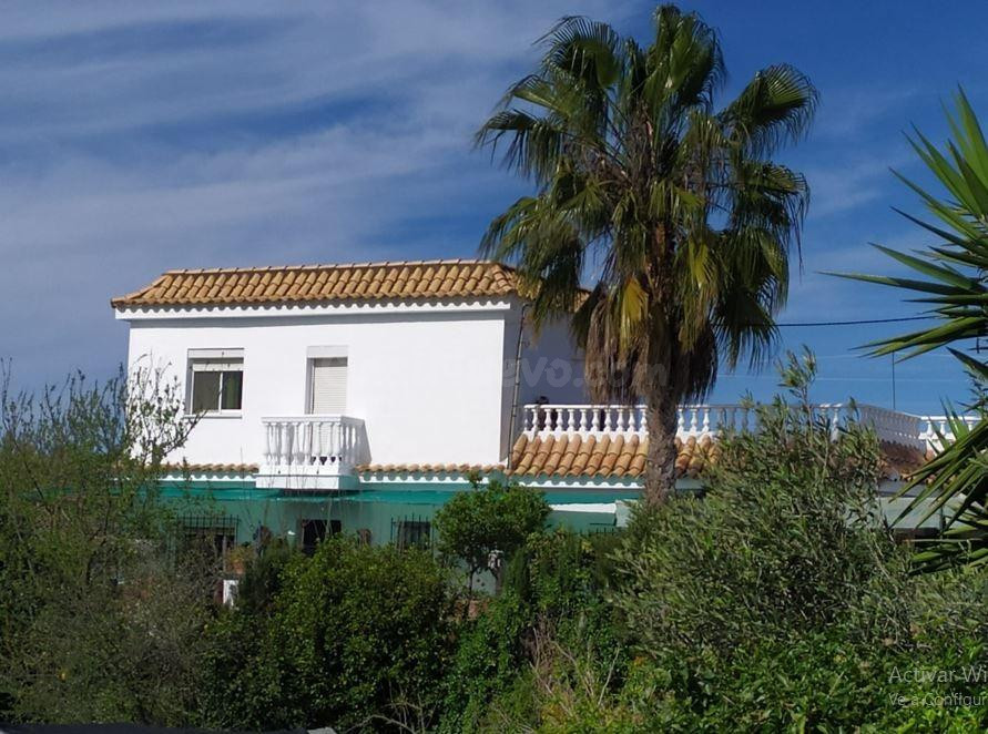 GRAN FINCA LISTA PARA DISFRUTAR¡¡¡¡¡ - foto 4