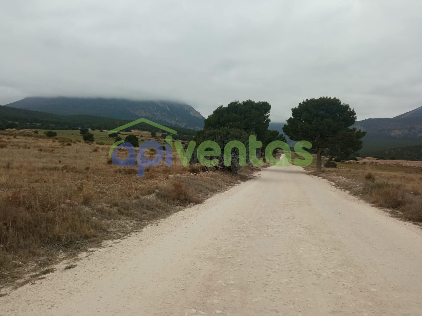 Terreno rustico, La Parroquia, (Aguica)