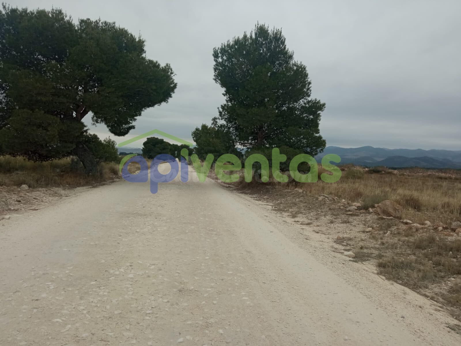 Terreno rustico, La Parroquia, (Aguica) - foto 2