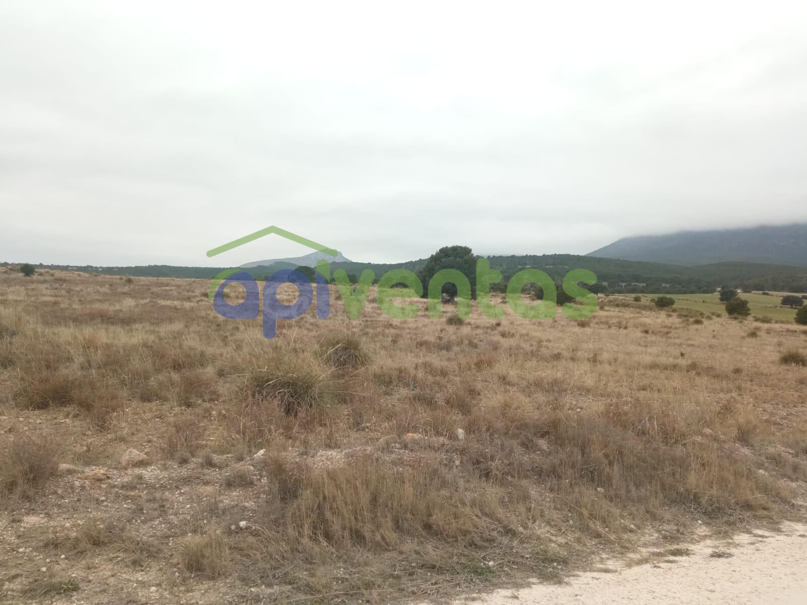 Terreno rustico, La Parroquia, (Aguica) - foto 4