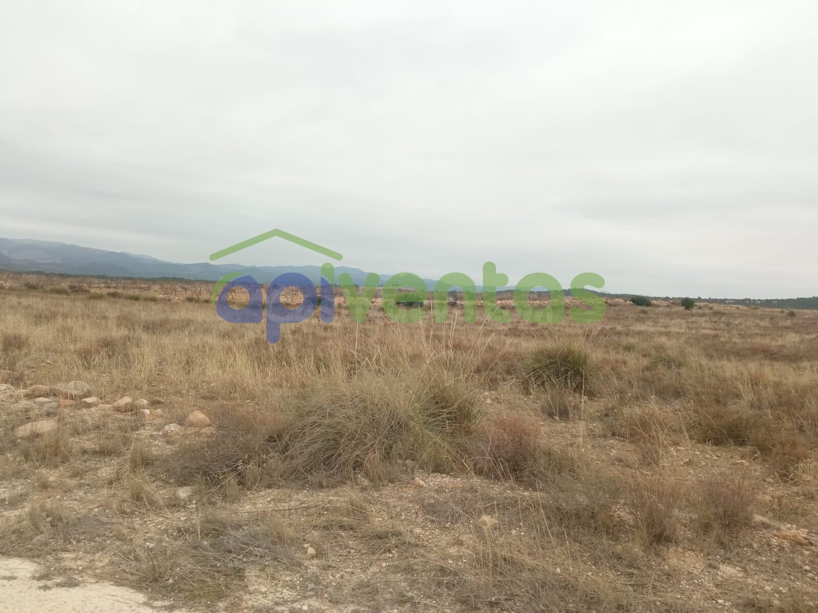 Terreno rustico, La Parroquia, (Aguica) - foto 5