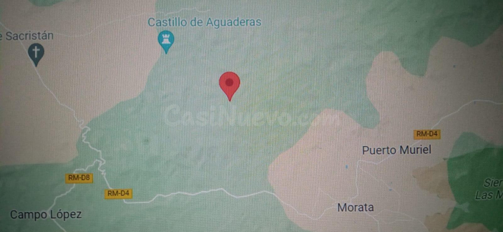 Finca de monte, pinar, zona de caza
