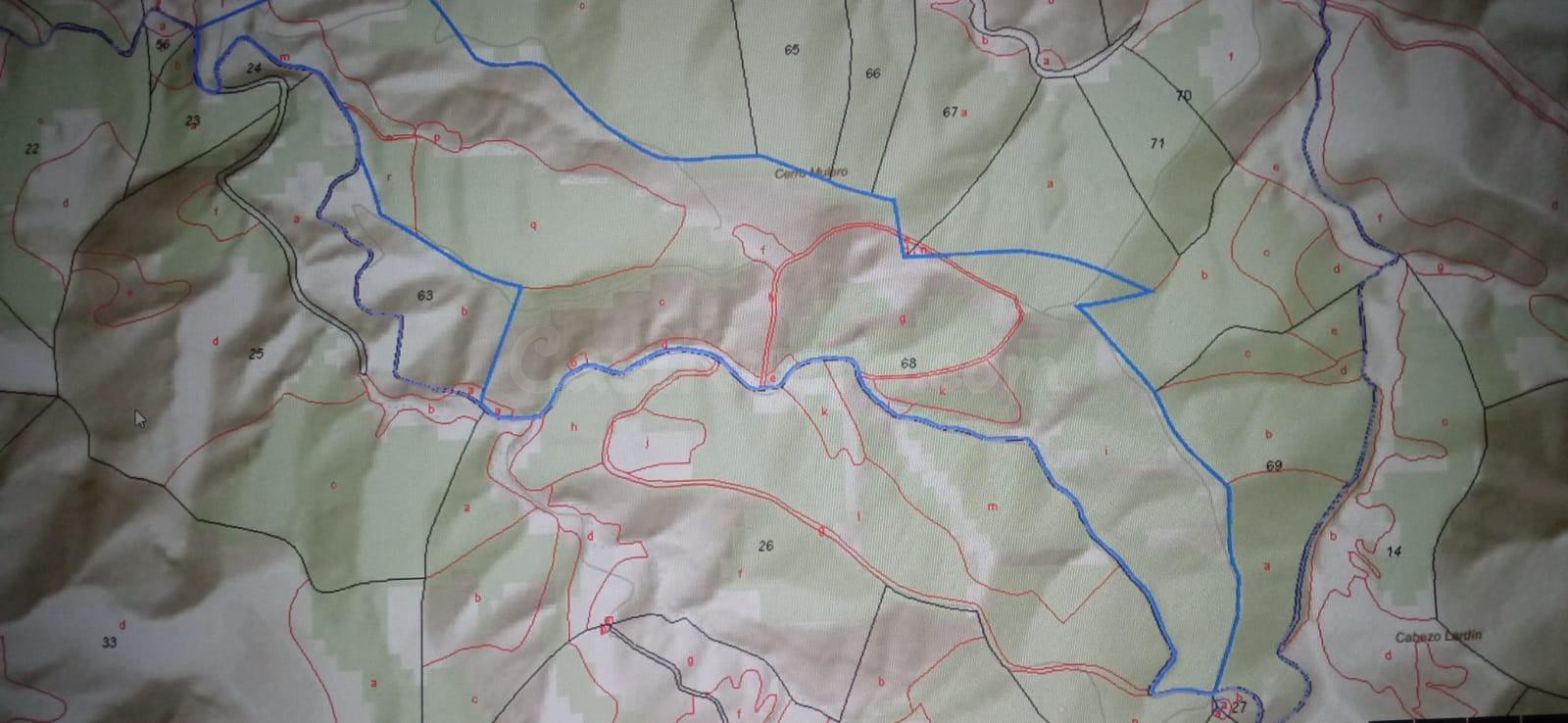 Finca de monte, pinar, zona de caza - foto 2