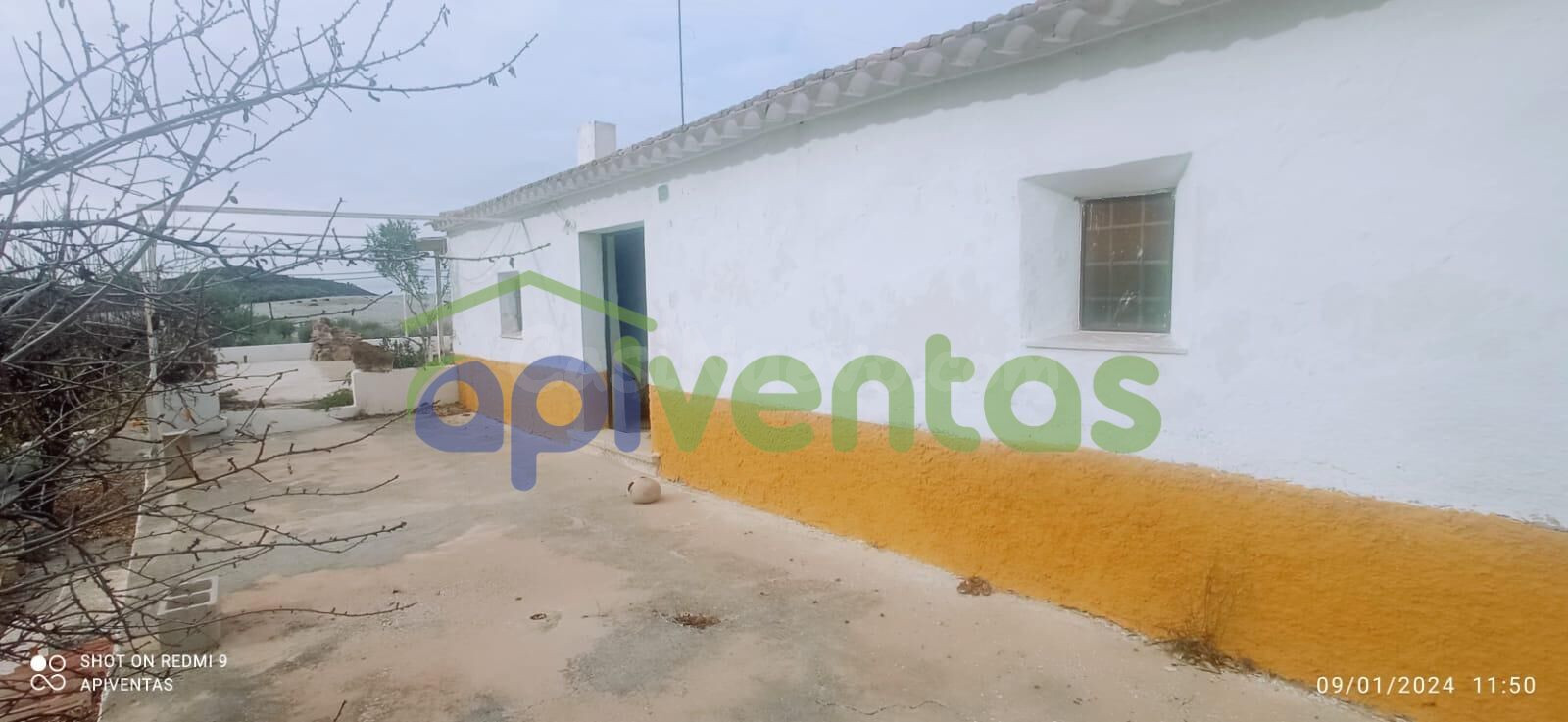 Cortijo de piedra con 20 hec de terreno - foto 4