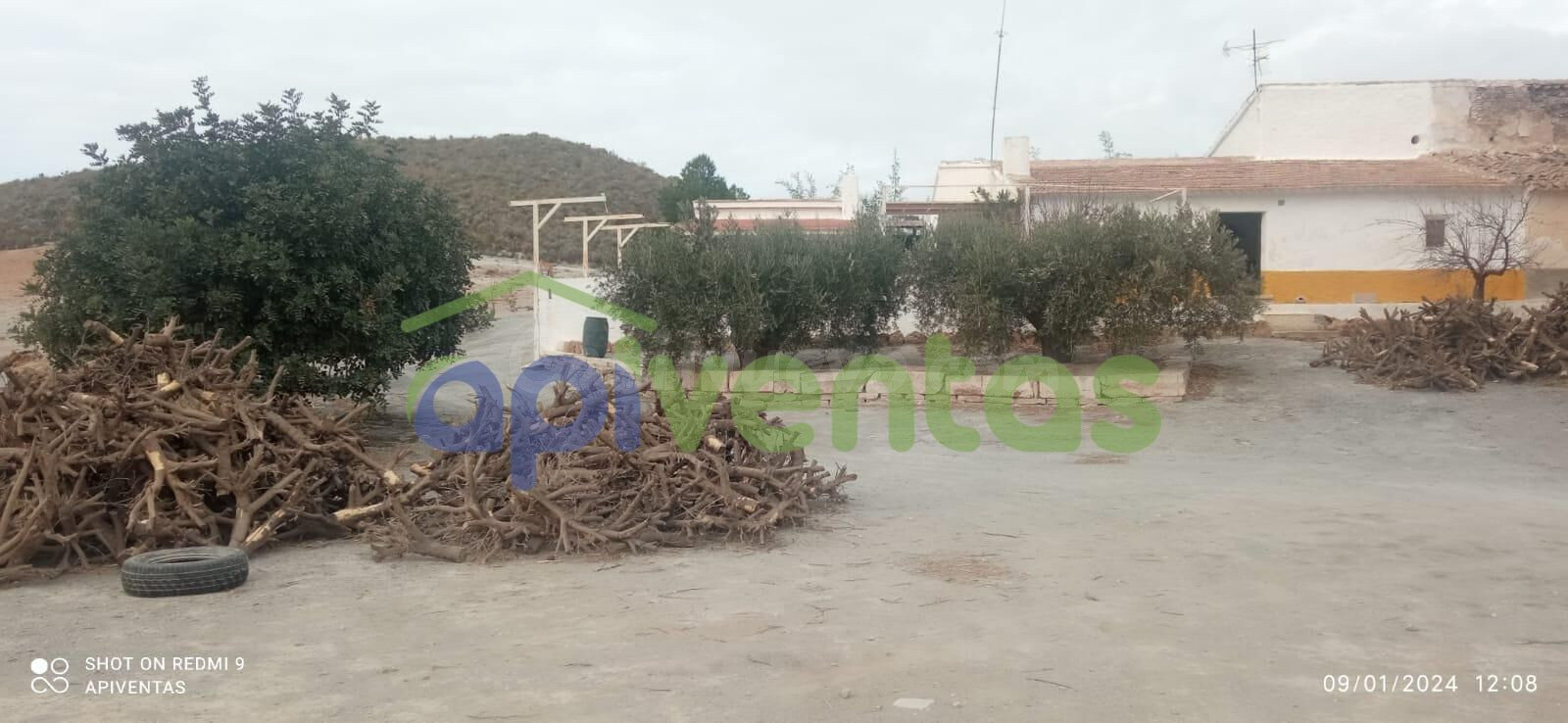 Cortijo de piedra con 20 hec de terreno - foto 5