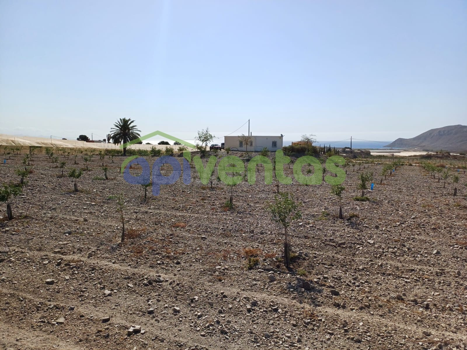 6 Hec de terreno  con nave-almacén , invernaderos y cabezal  - foto 2