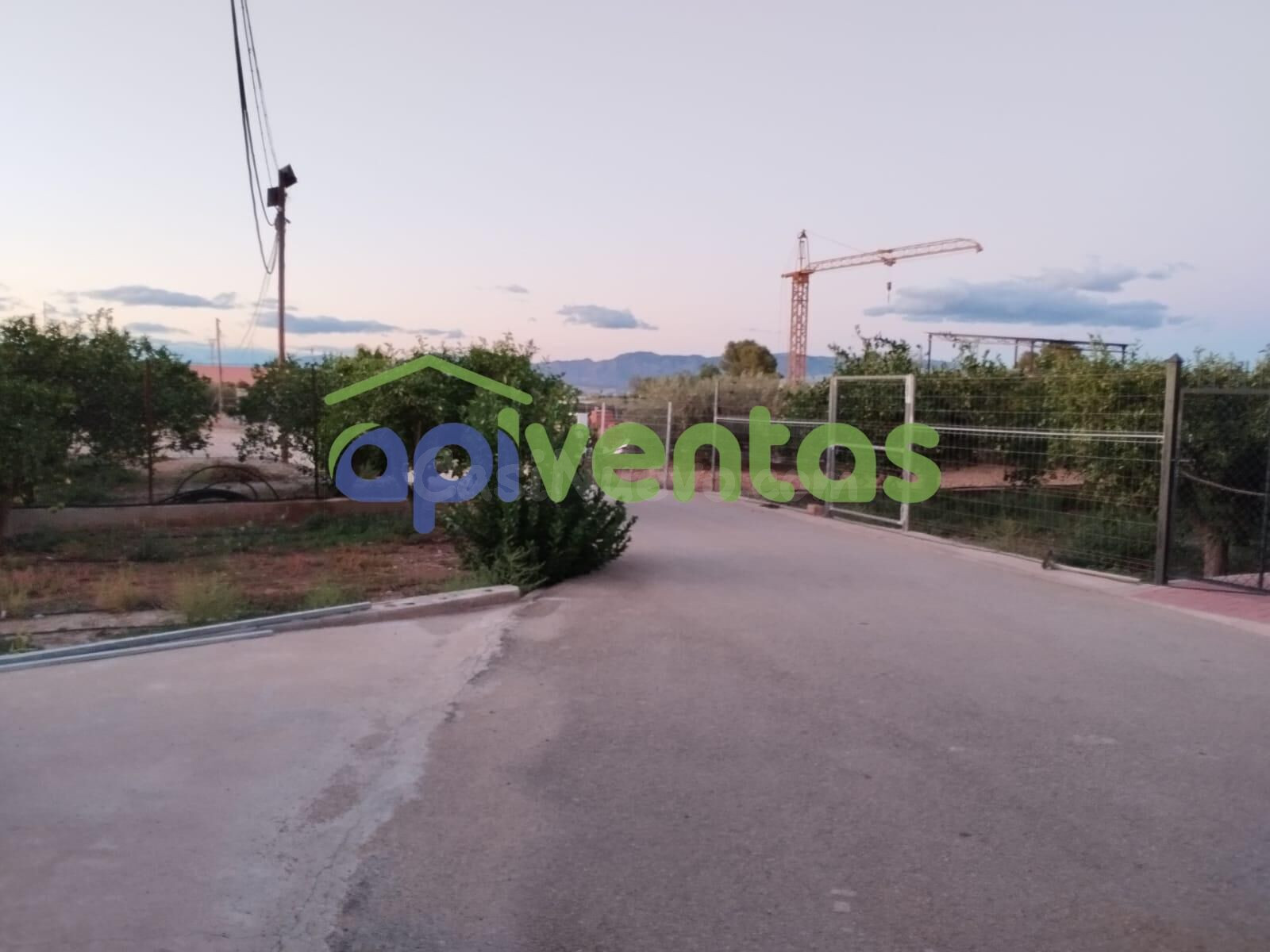 Nave-Almacén de 300 metros en pedanía de Purias - foto 5