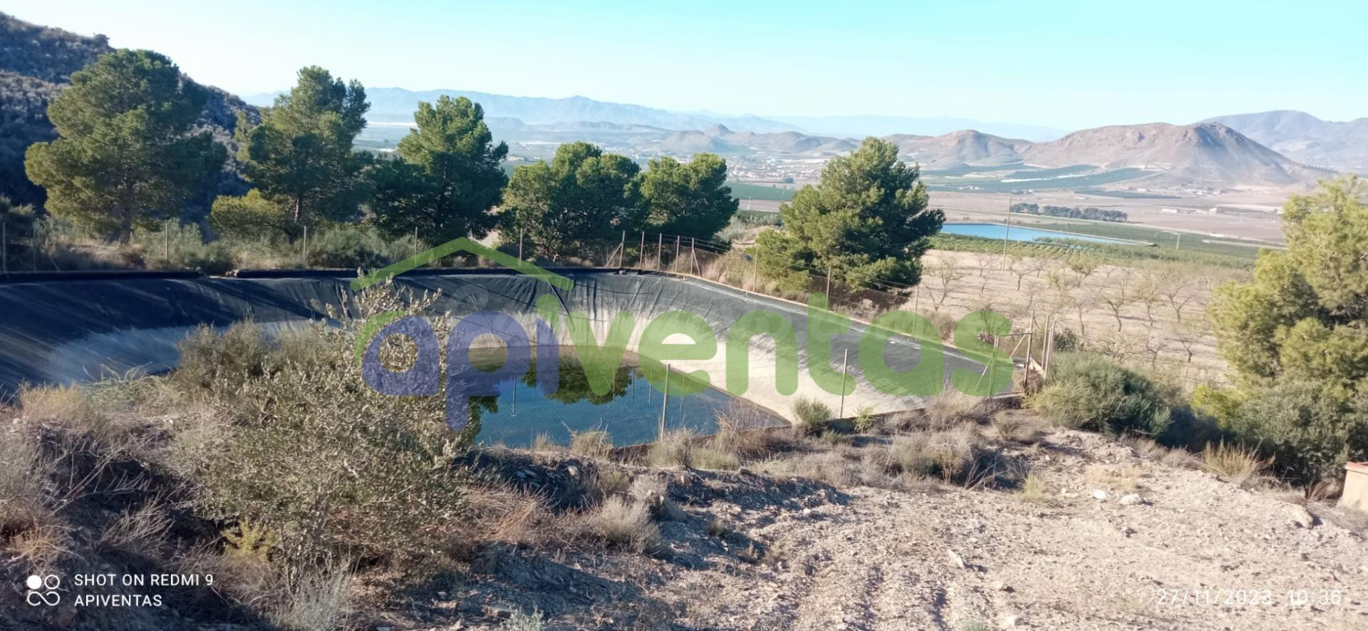 Terreno, pantano, almacén-caseta(La Escarihuela)