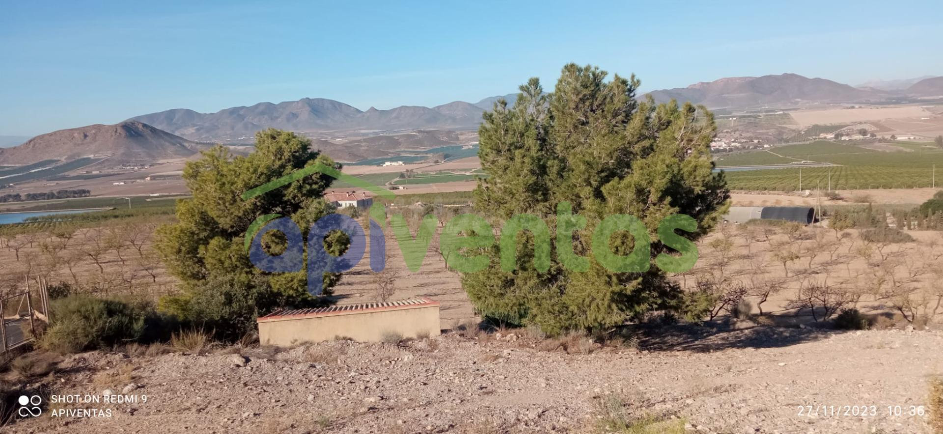 Terreno, pantano, almacén-caseta(La Escarihuela) - foto 2