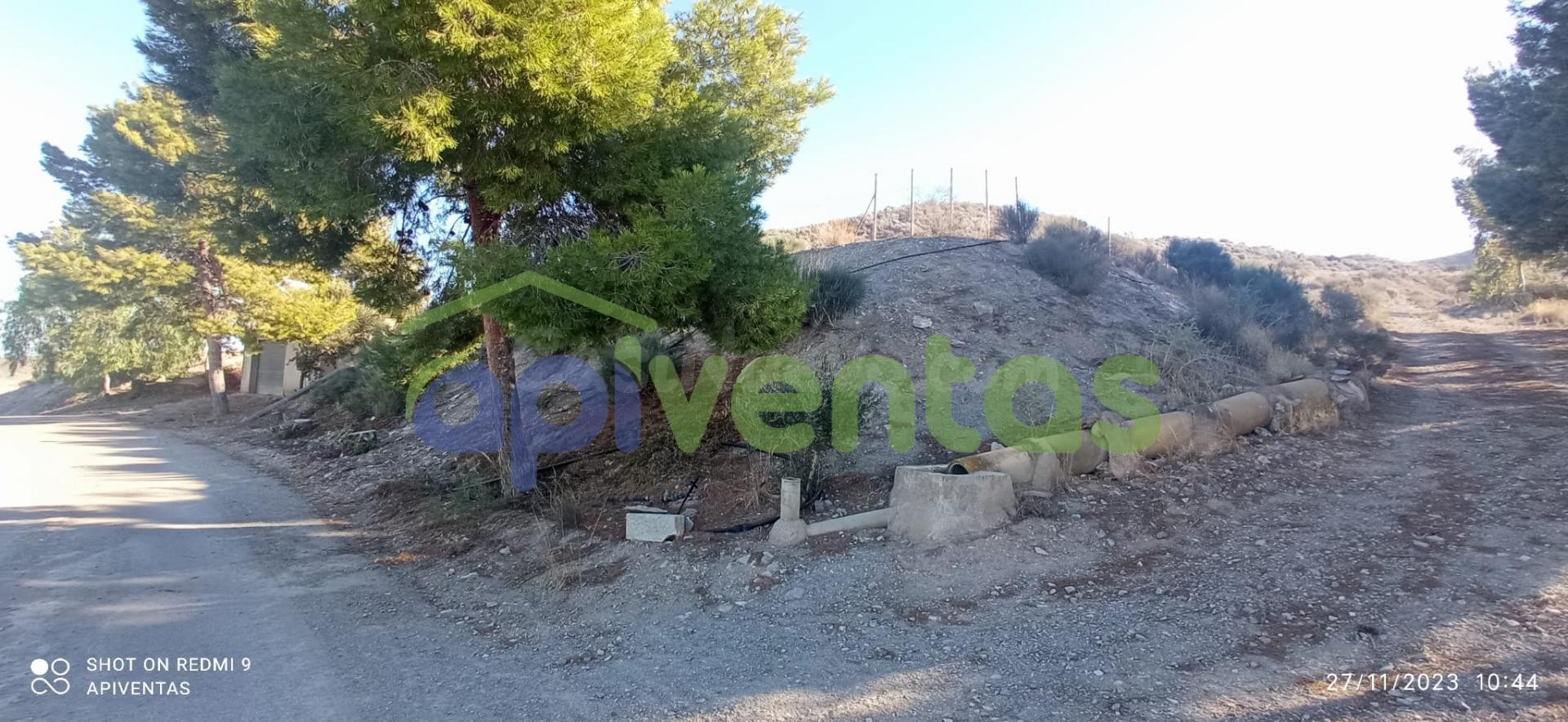 Terreno, pantano, almacén-caseta(La Escarihuela) - foto 3