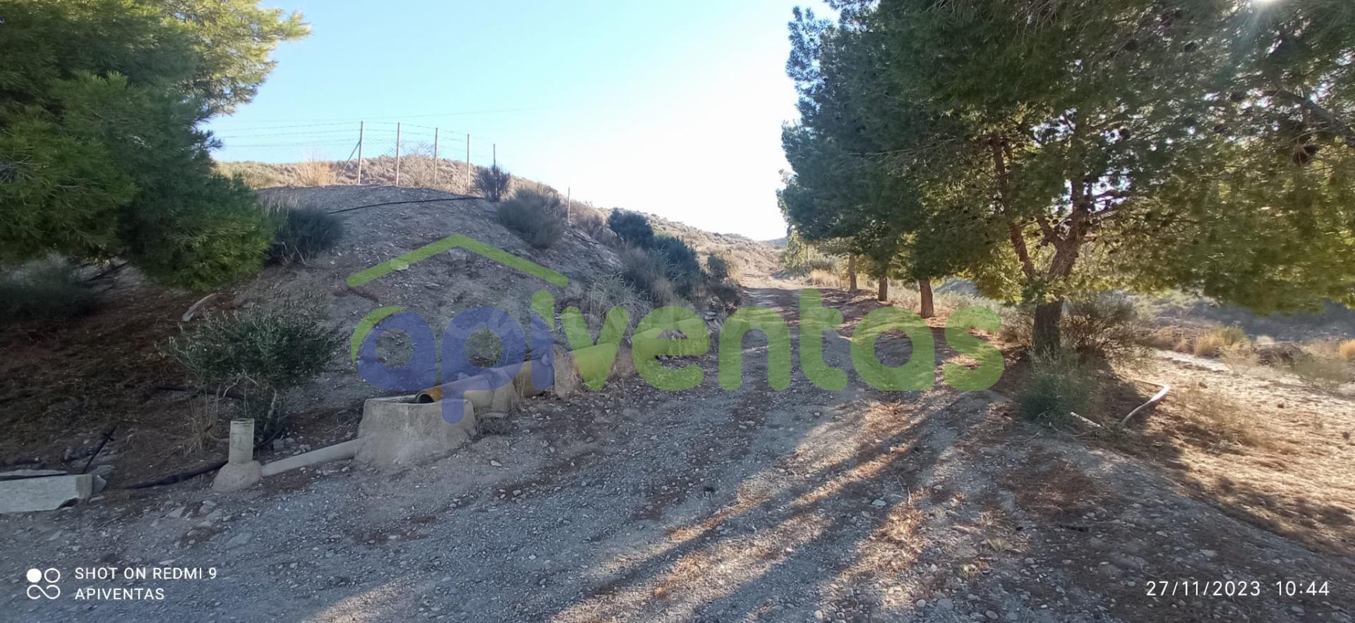 Terreno, pantano, almacén-caseta(La Escarihuela) - foto 5