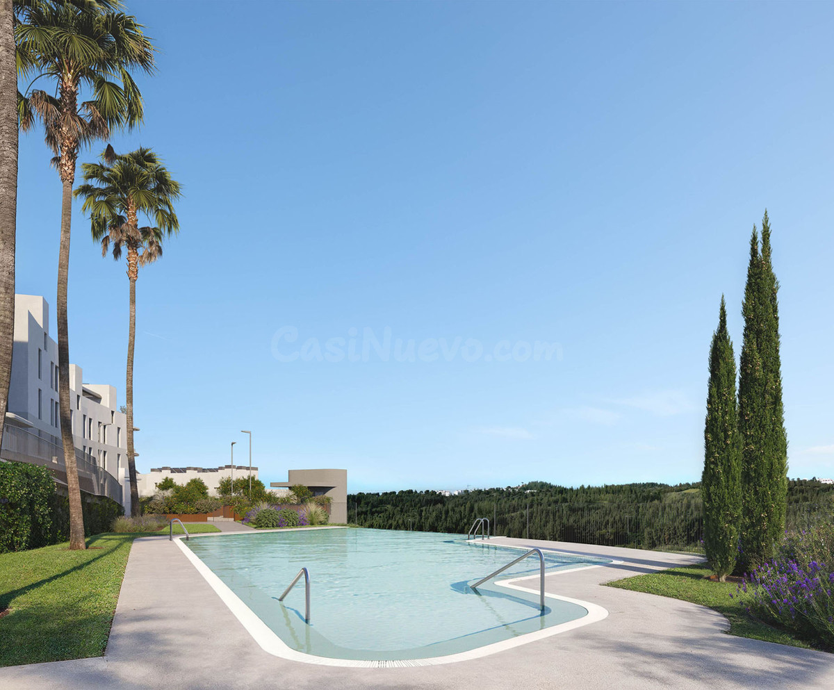 Planta baja 1 habitación 83m² en venta - Hipódromo-Cerrado d - foto 3