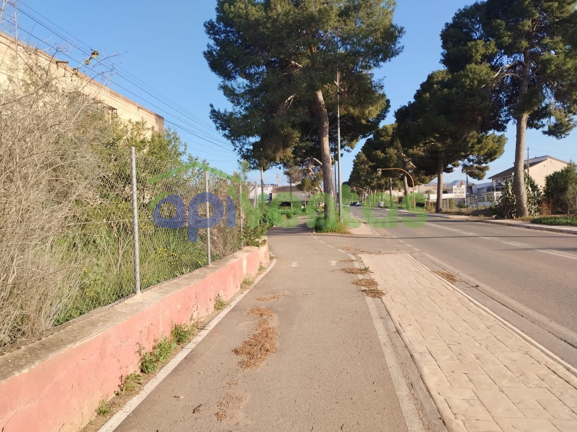 Caserío con 23000 metros de terreno (Purias Centro) - foto 2