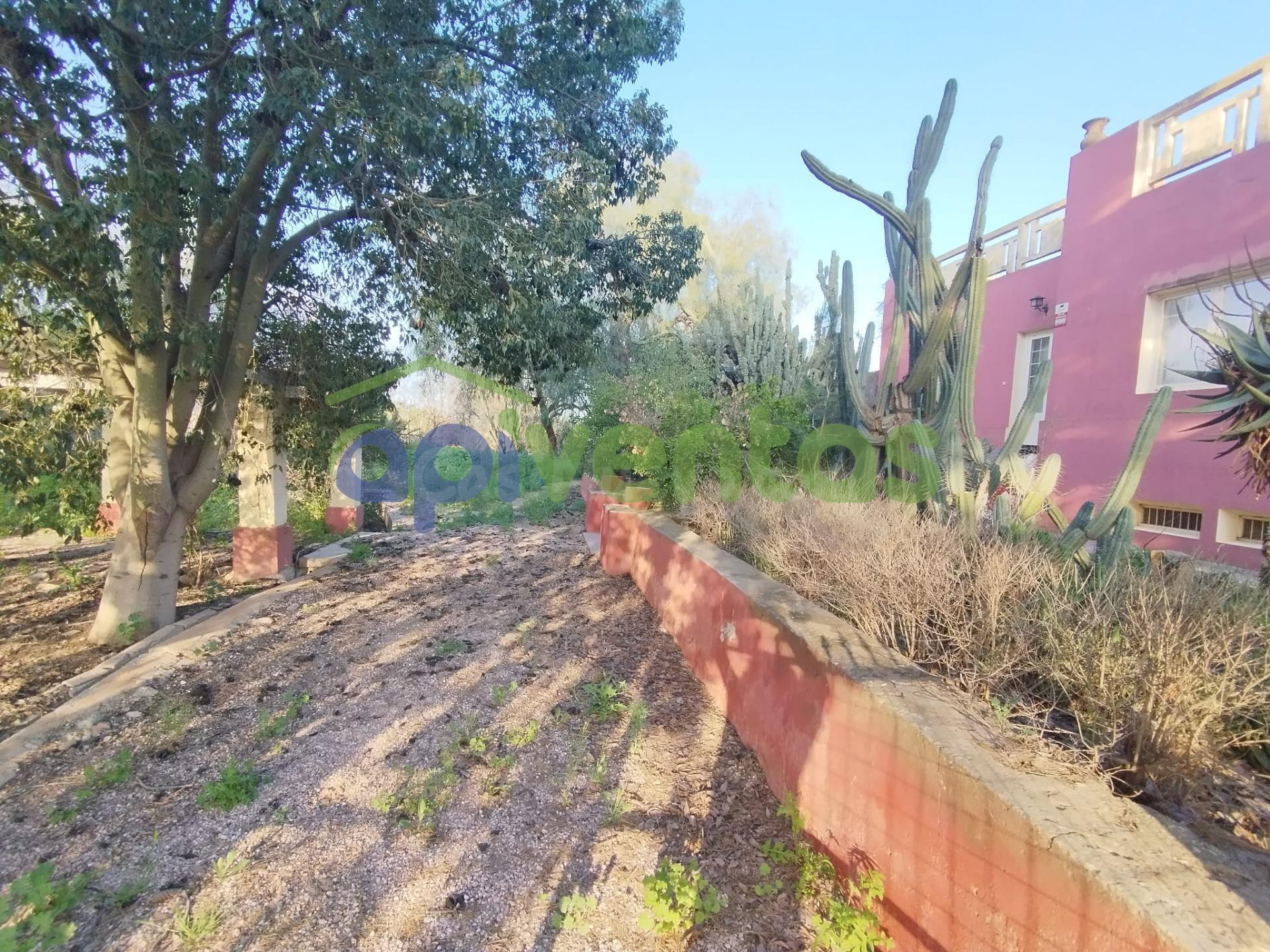 Caserío con 23000 metros de terreno (Purias Centro) - foto 3