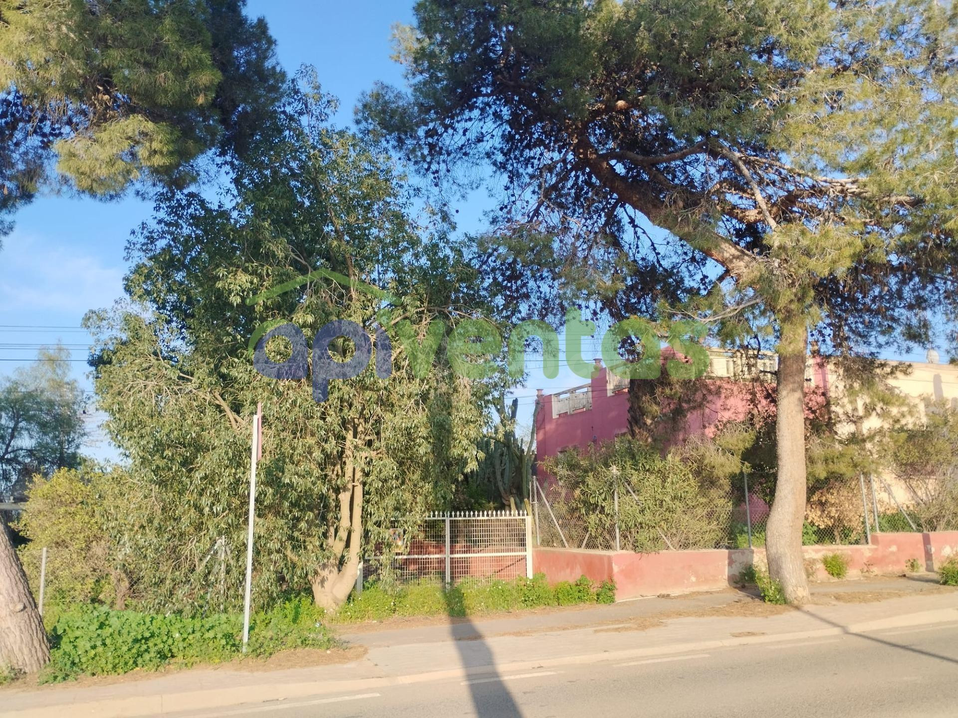 Caserío con 23000 metros de terreno (Purias Centro) - foto 4