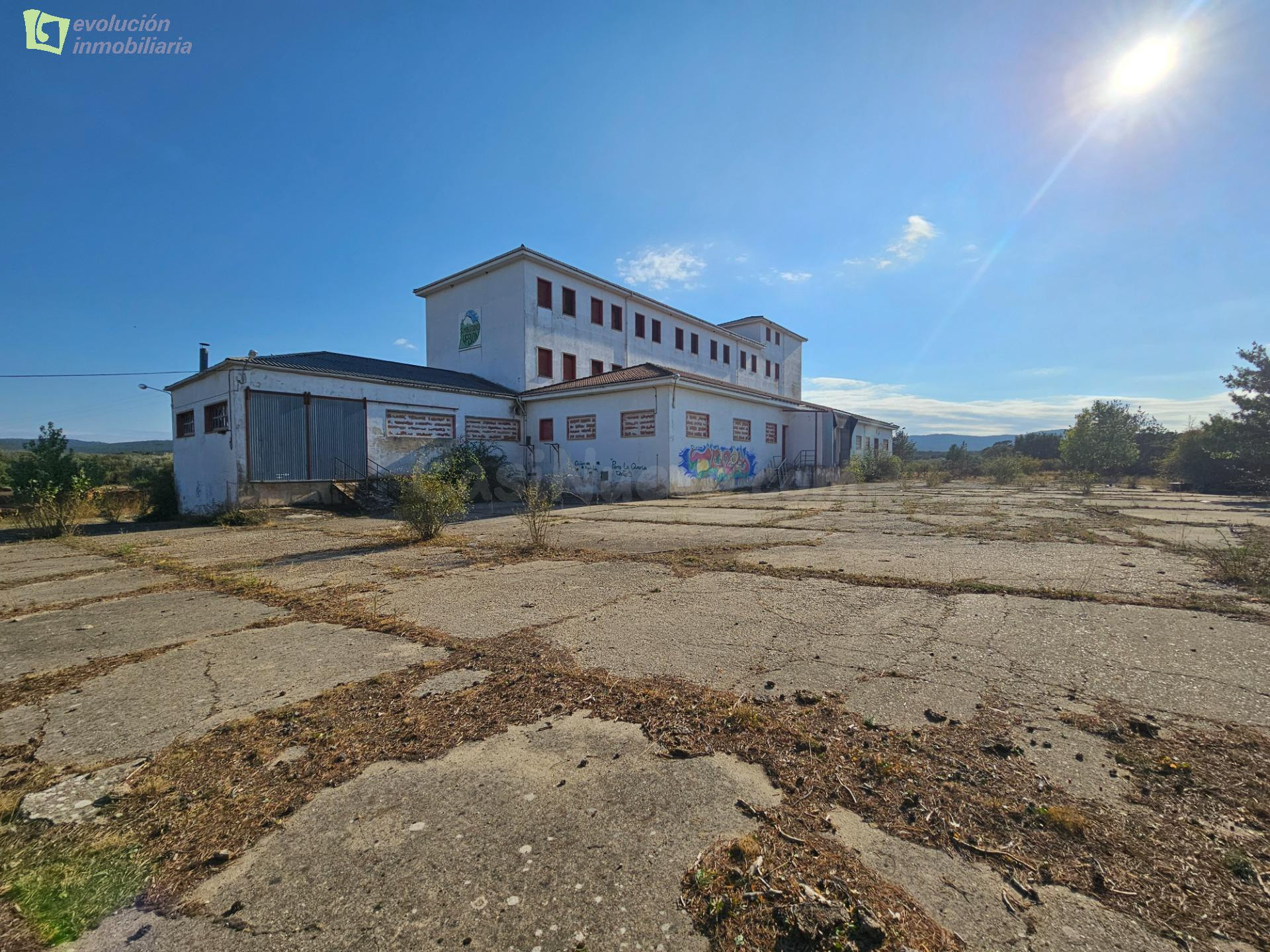 SE VENDE NAVE INDUSTRIAL EN DURUELO DE LA SIERRA - foto 4