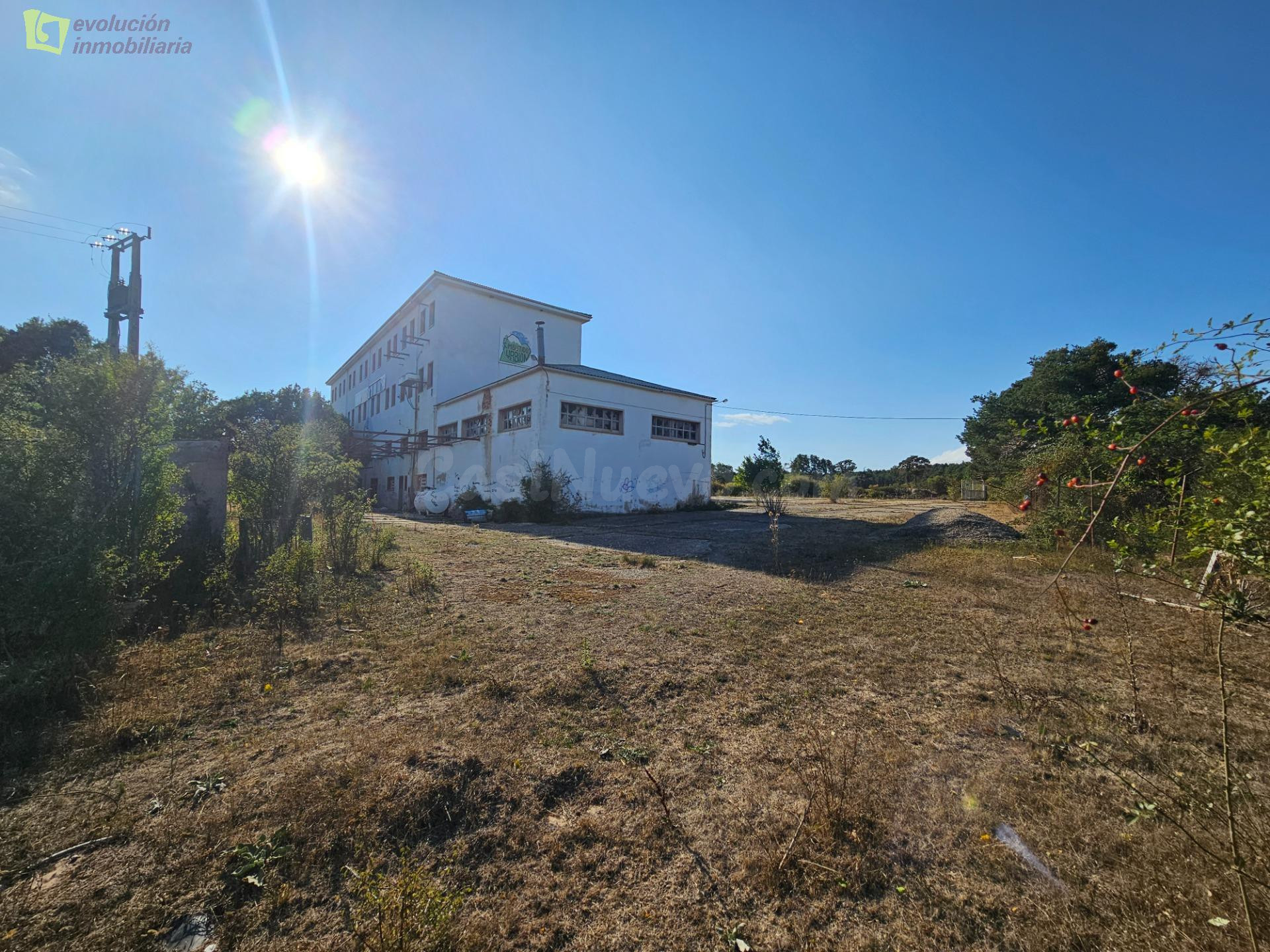 SE VENDE NAVE INDUSTRIAL EN DURUELO DE LA SIERRA - foto 5