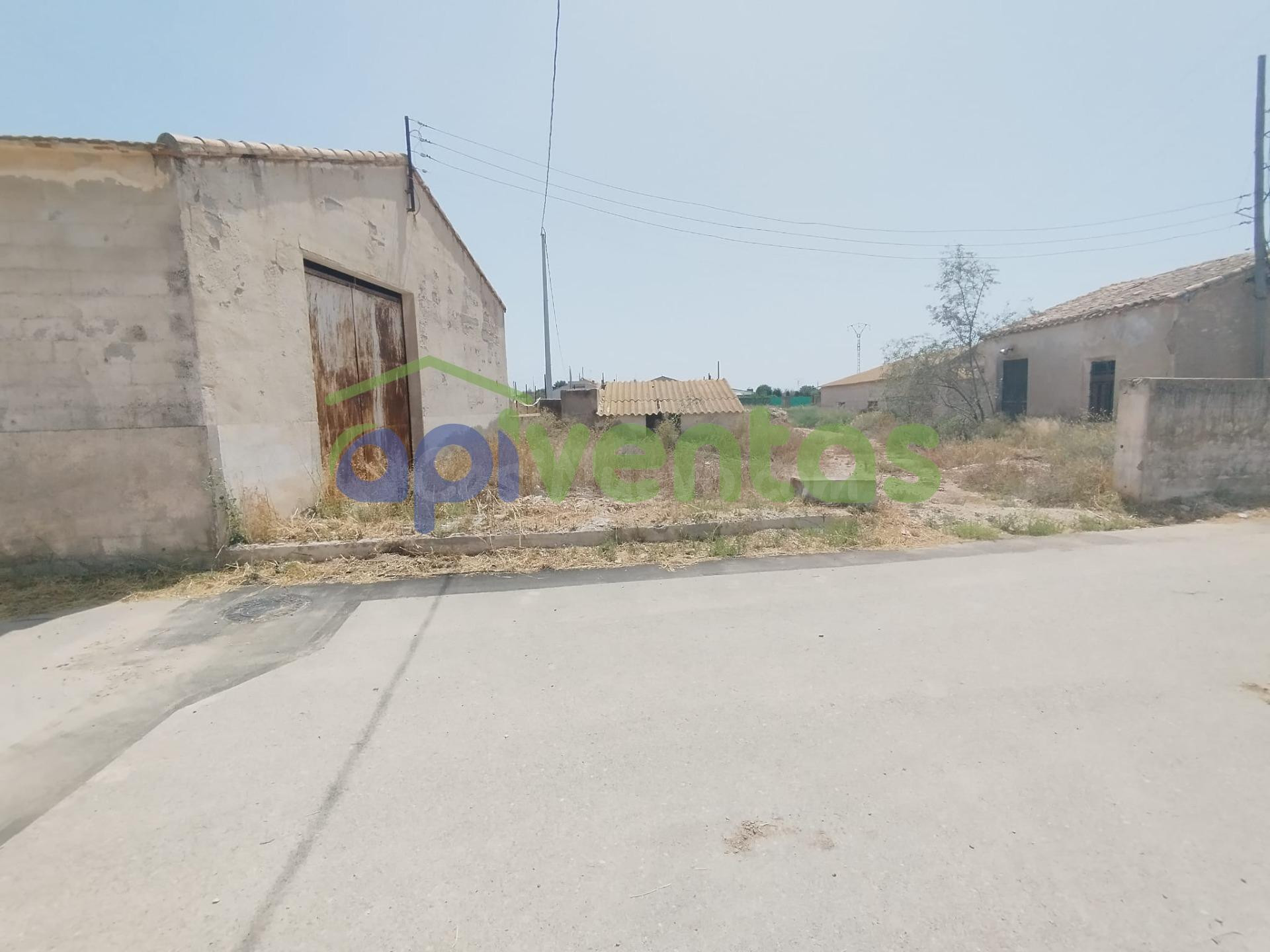 Terreno de regadío con nave - foto 2