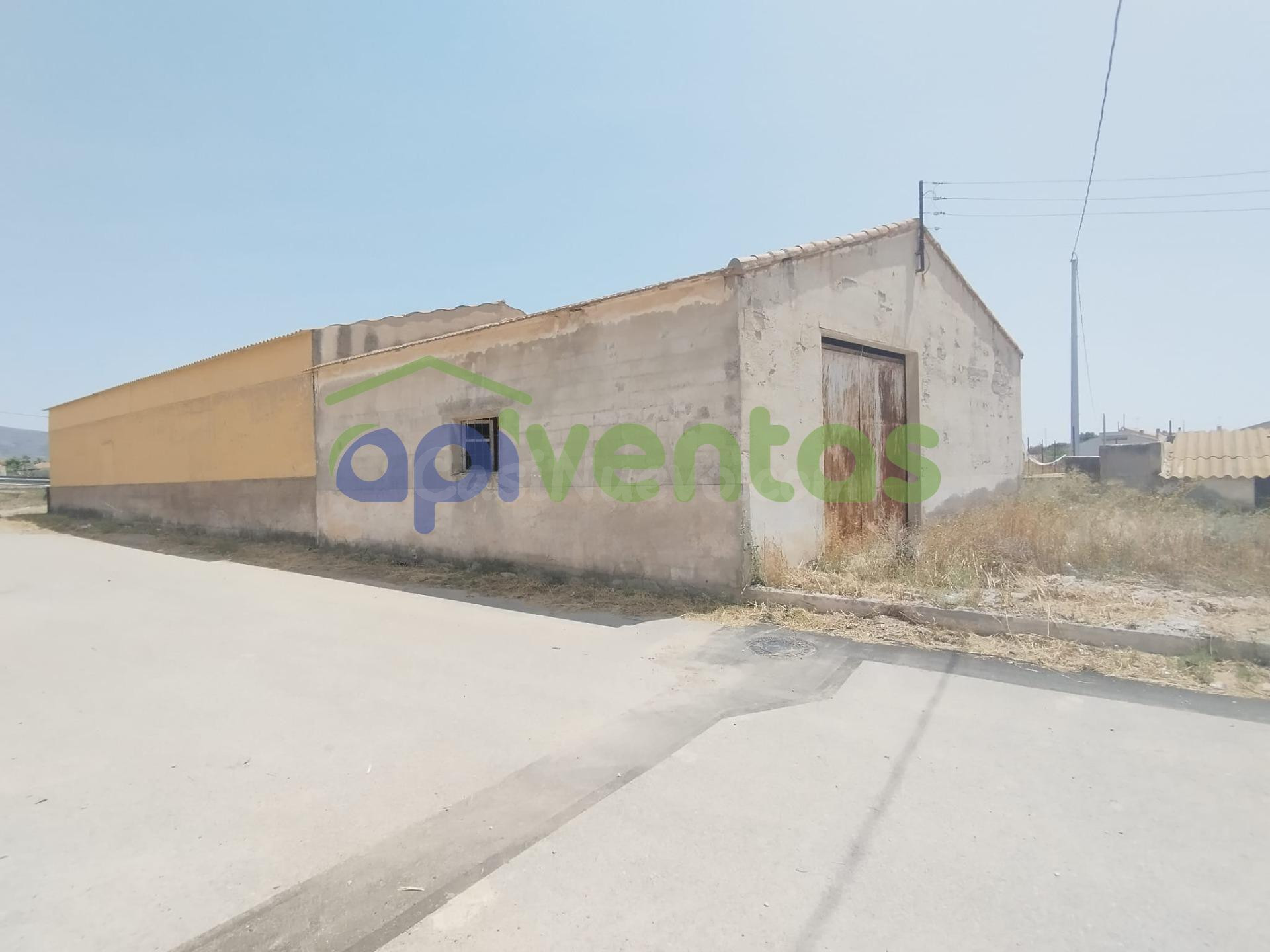 Terreno de regadío con nave - foto 4