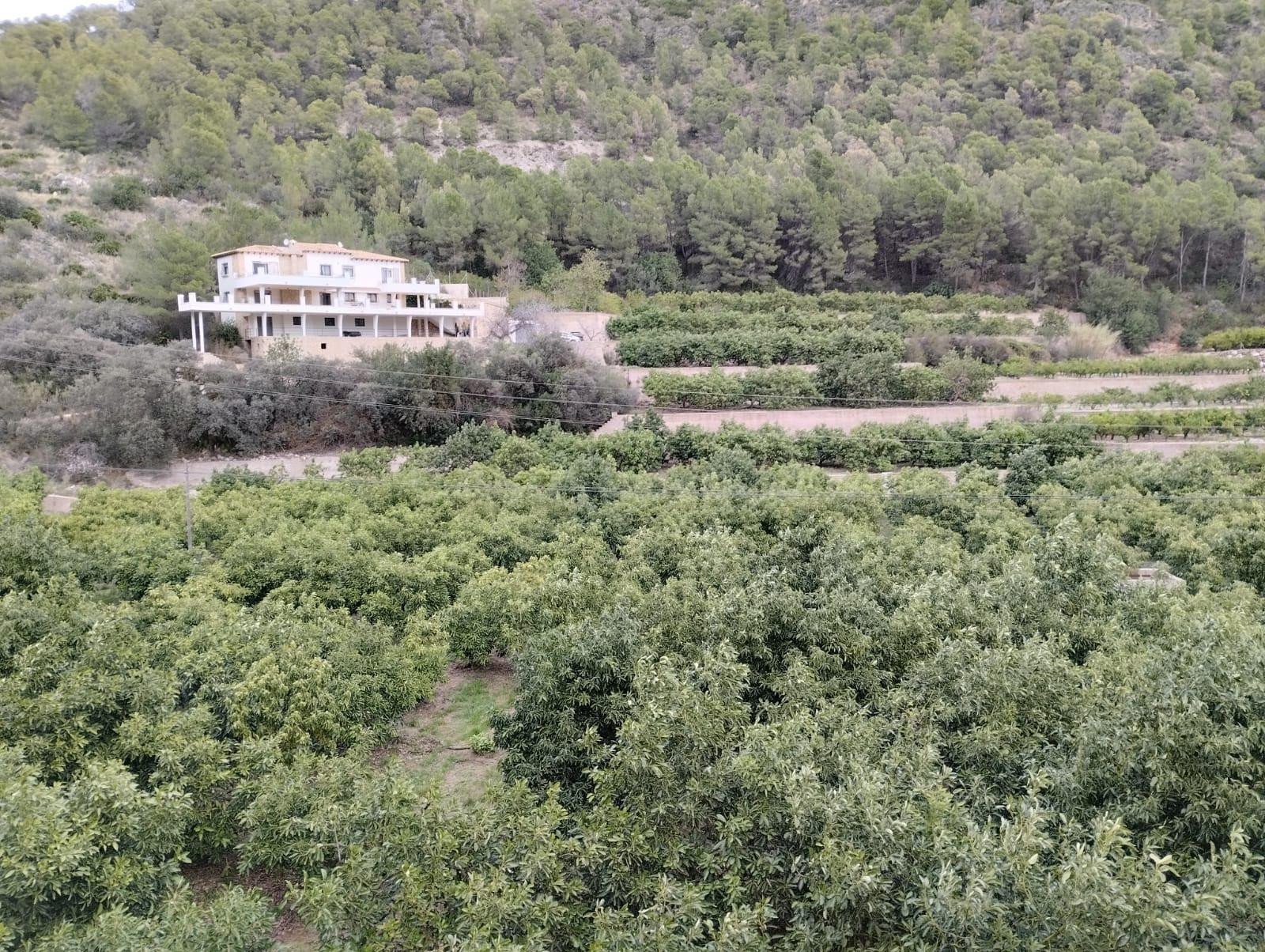 Chalet con finca de aguacates - foto 2