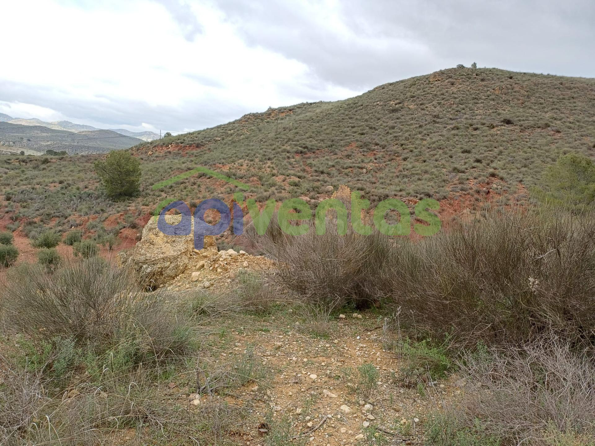 Casa adosada para reformar con 22 hectareas de terreno - foto 3