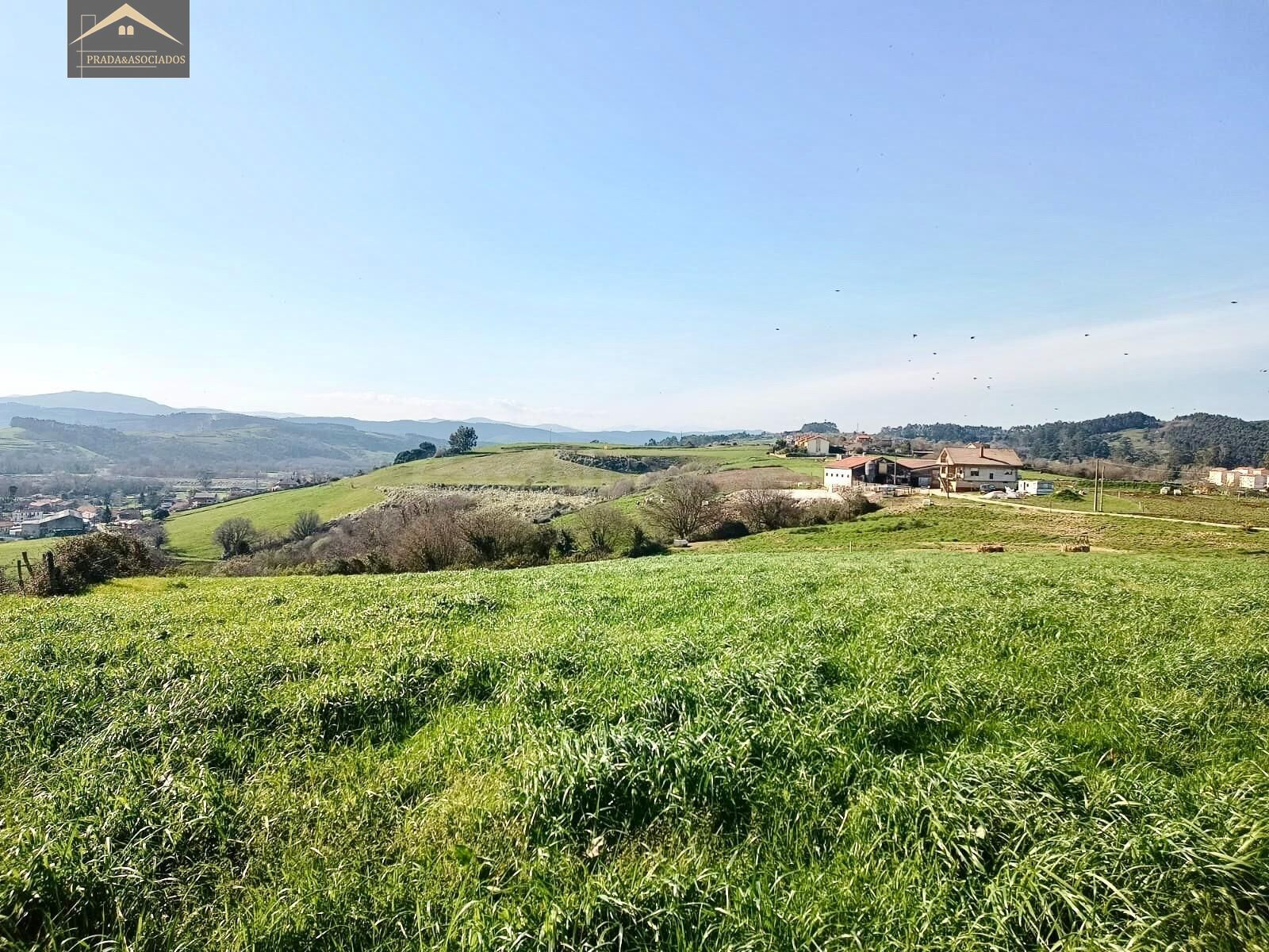 FINCAS EN CAMARGO. - foto 3