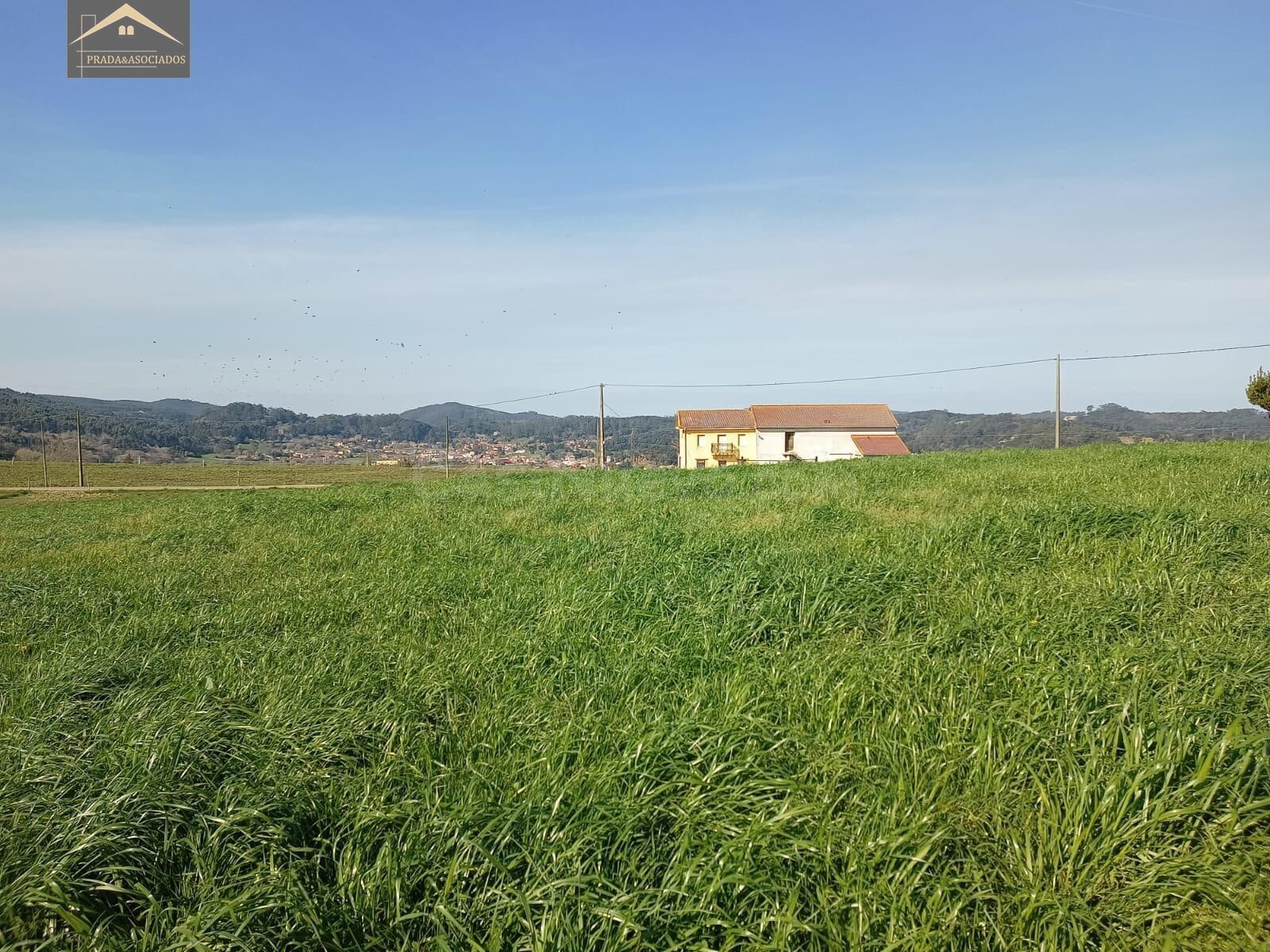 FINCAS EN CAMARGO. - foto 5