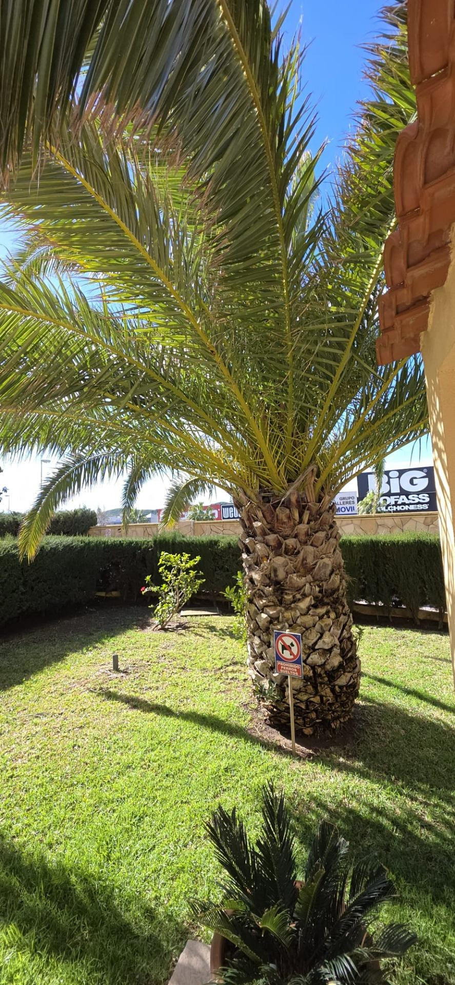 Descubre tu nuevo hogar en Las Lagunas de Mijas: comodidad,  - foto 2