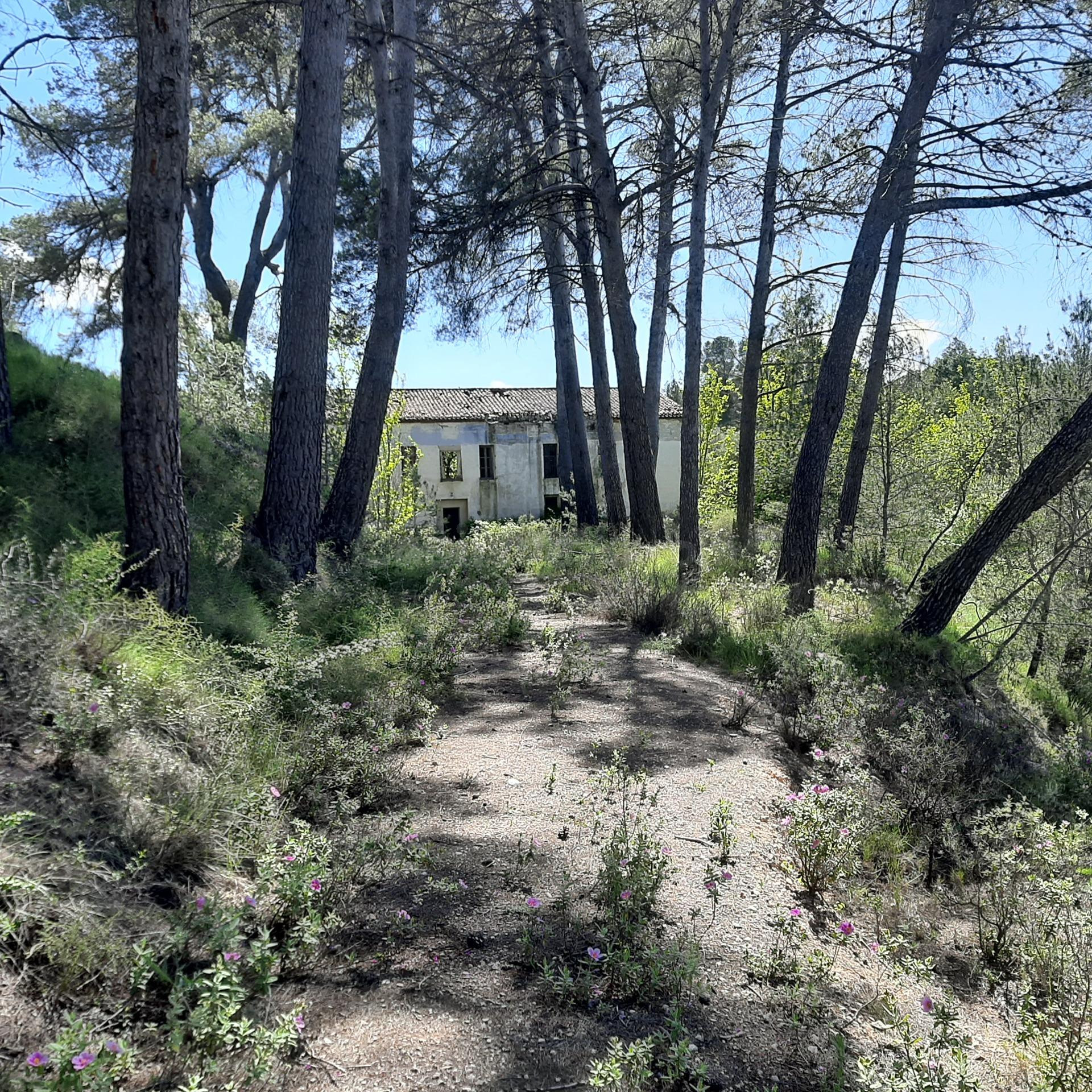 Fantástica finca de 37 hectareas 8 hectáreas con masia