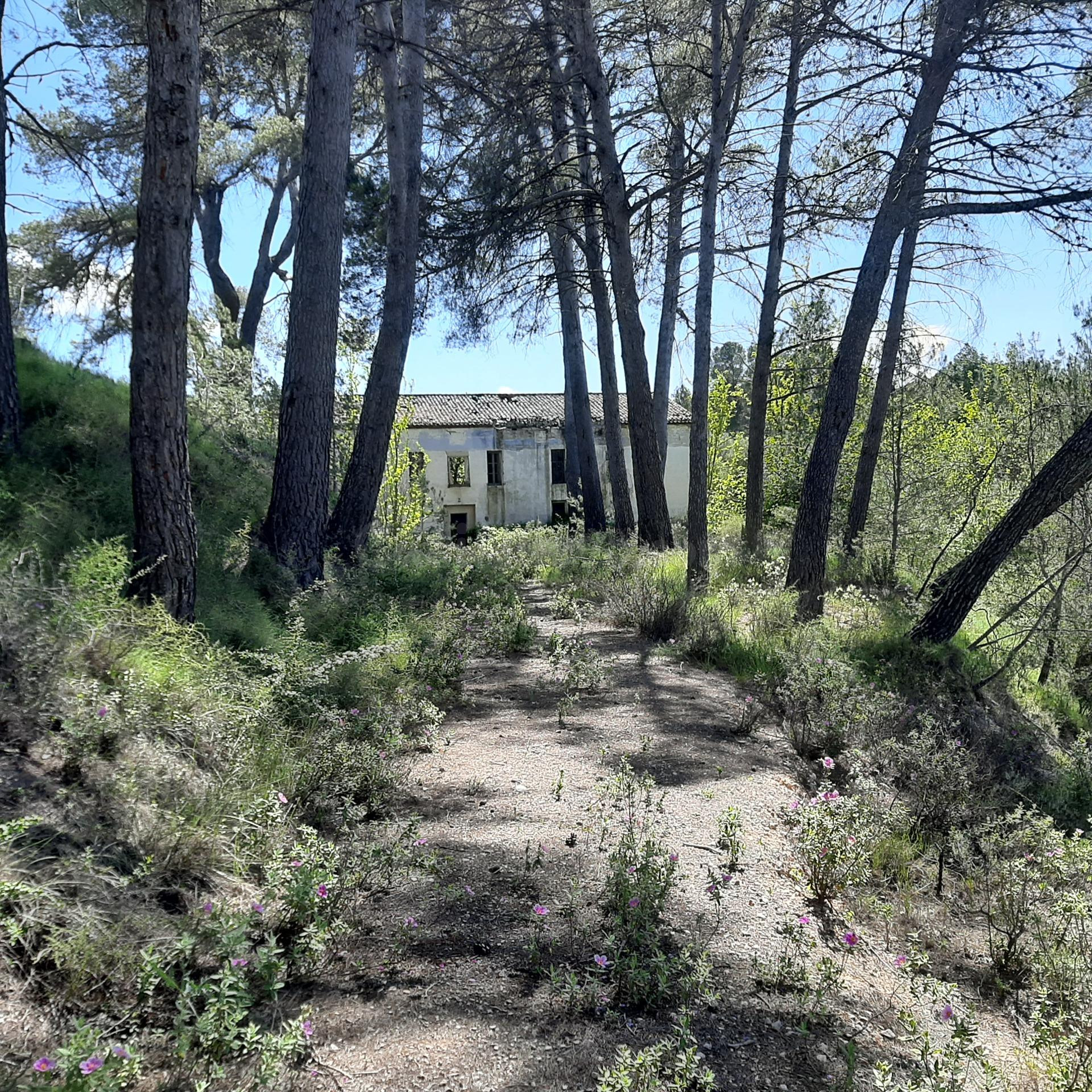 Fantástica finca de 37 hectareas 8 hectáreas con masia - foto 5