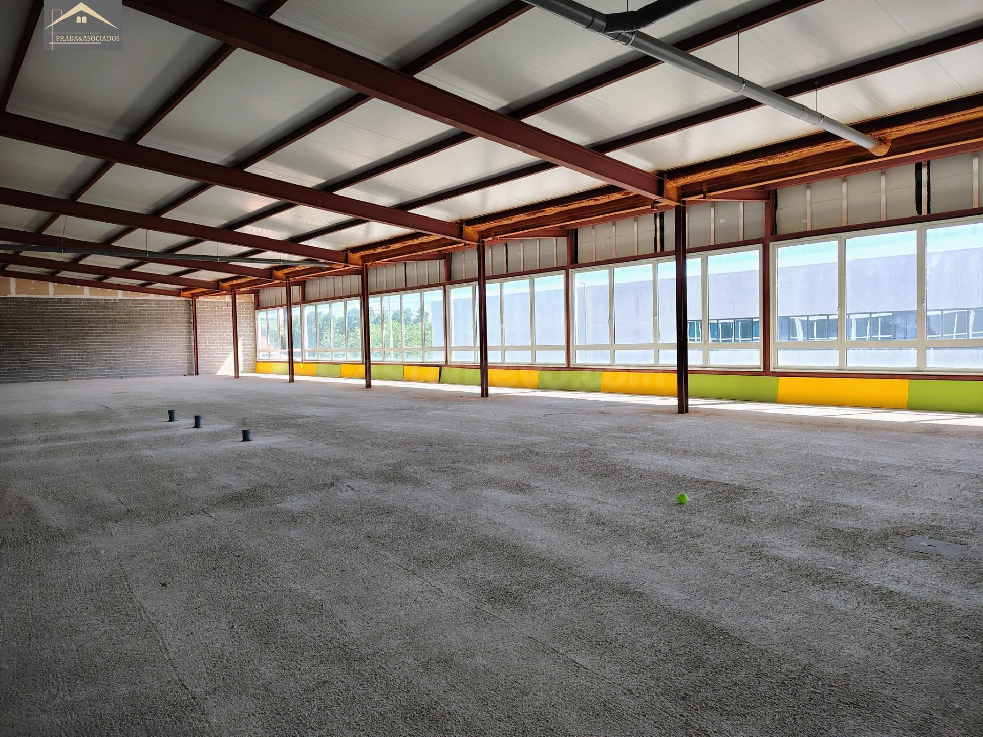 LOCAL COMERCIAL DIAFANO - foto 4